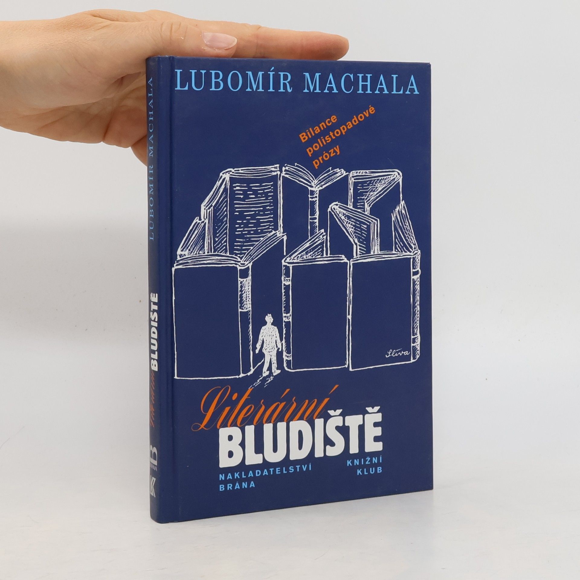 Literární bludiště. Bilance polistopadové prózy