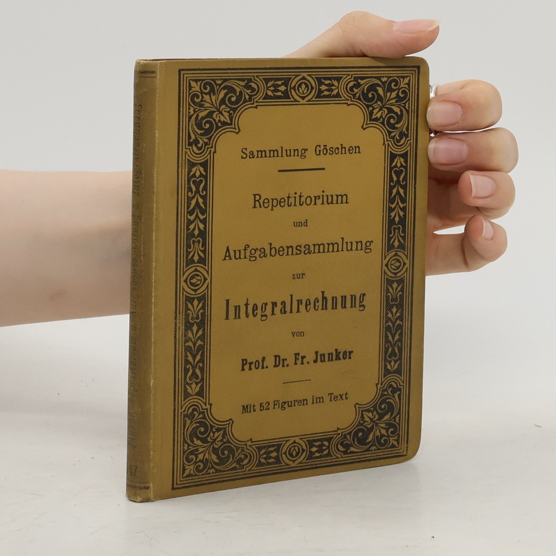 Friedrich Junker Repetitorium Und Aufgabensammlung Zur Integralrechnung