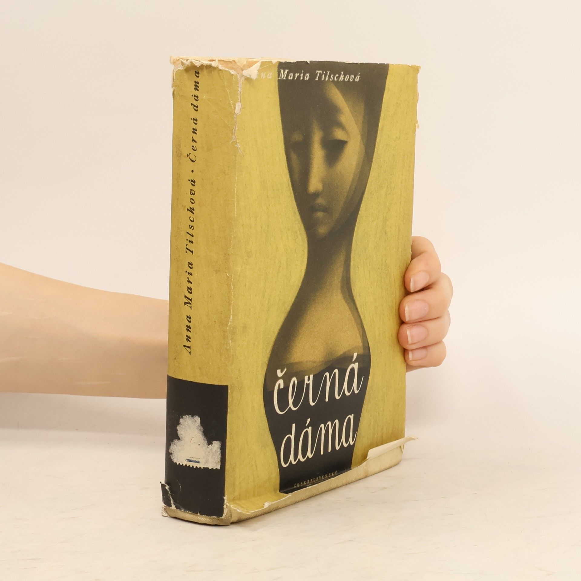 Anna Maria Tilschova Černá dáma a jiné povídky