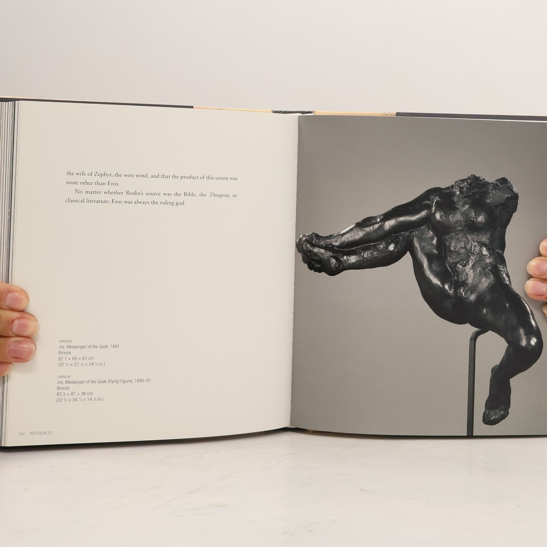 Pascal Bonafoux Rodin & Eros