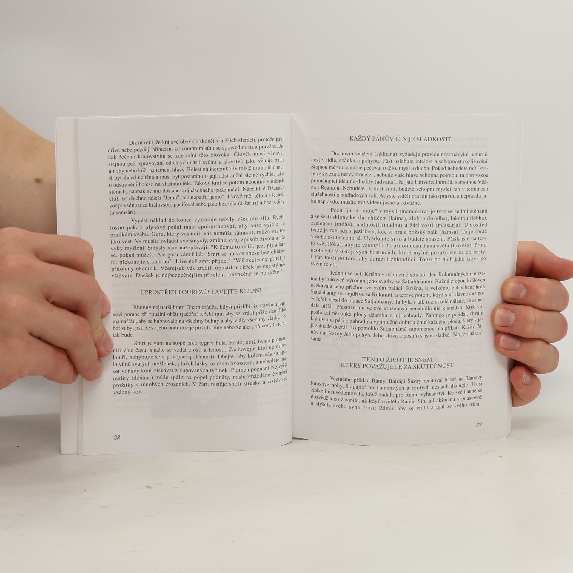 Autorenkollektiv Satja Saí promlouvá 3