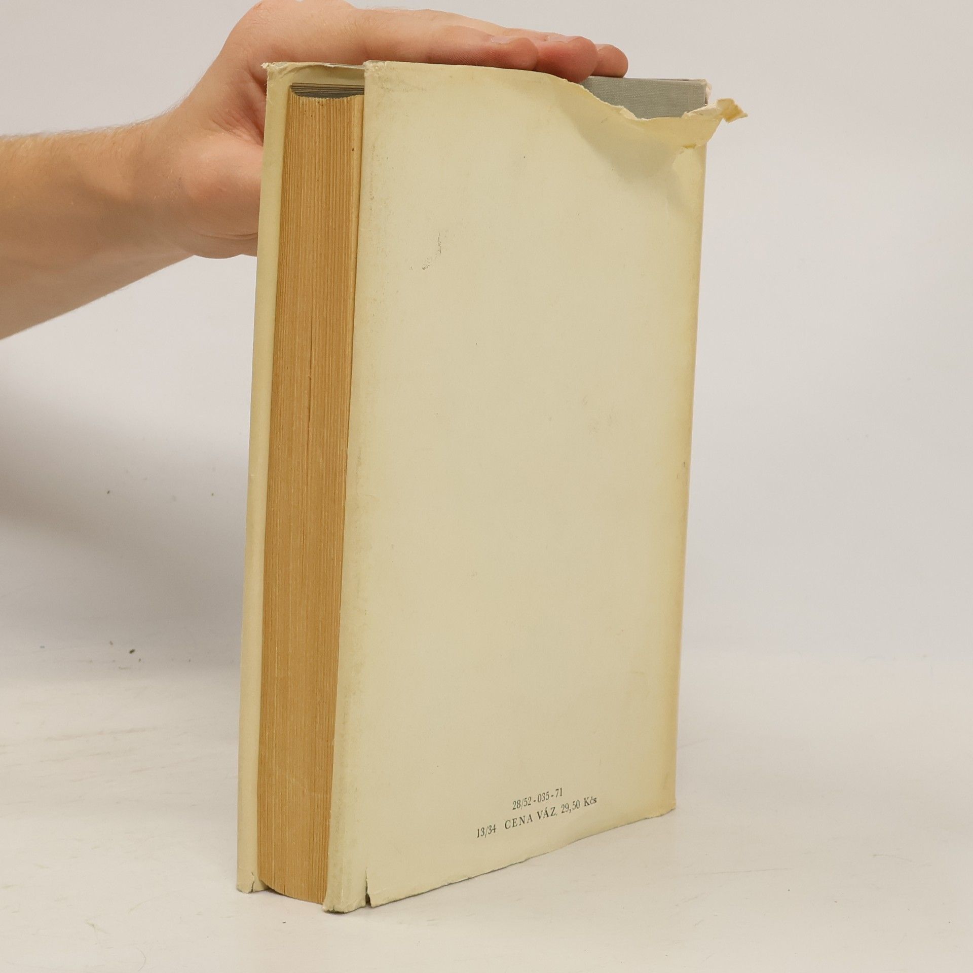 Erich Maria Remarque Vítězný oblouk