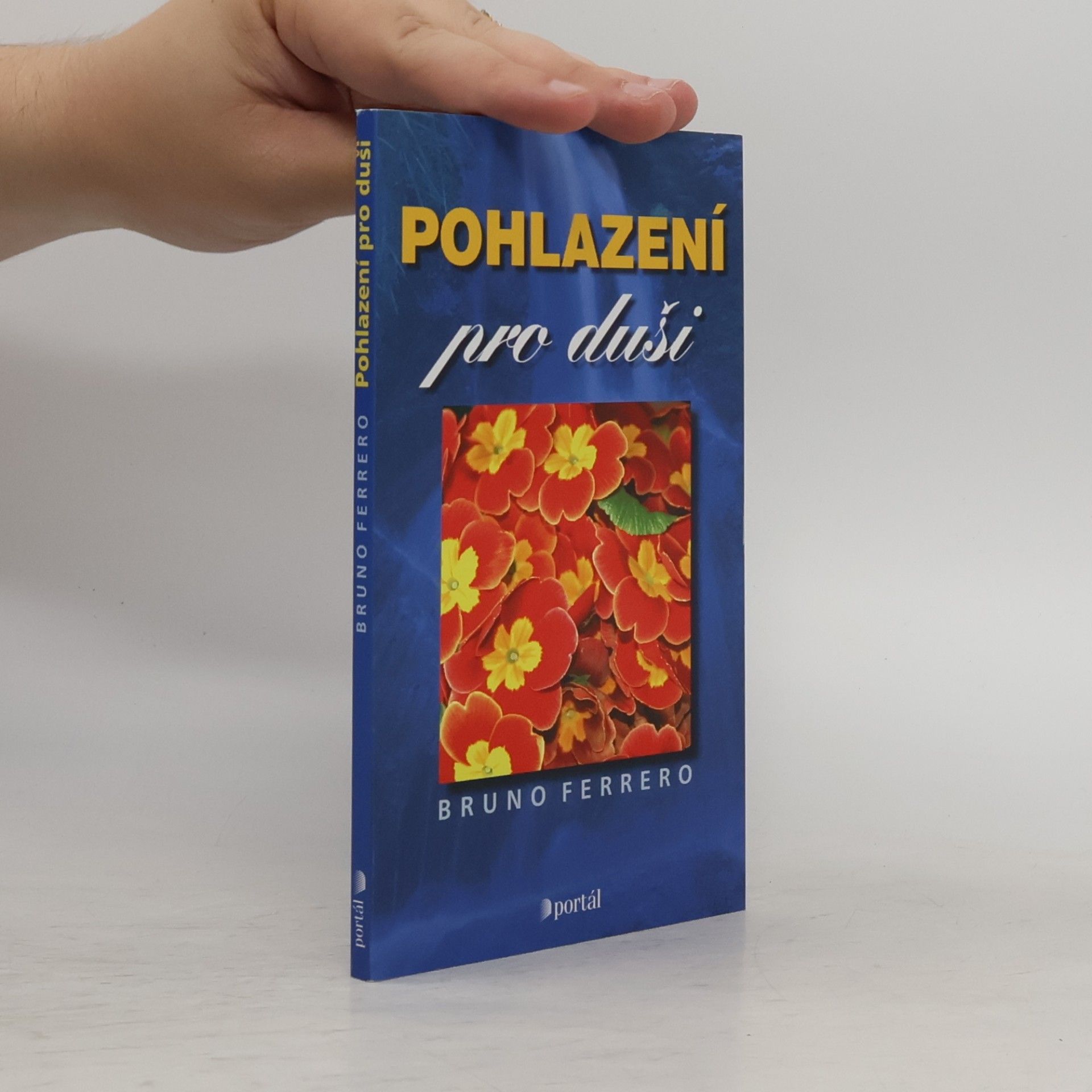 Bruno Ferrero Pohlazení pro duši