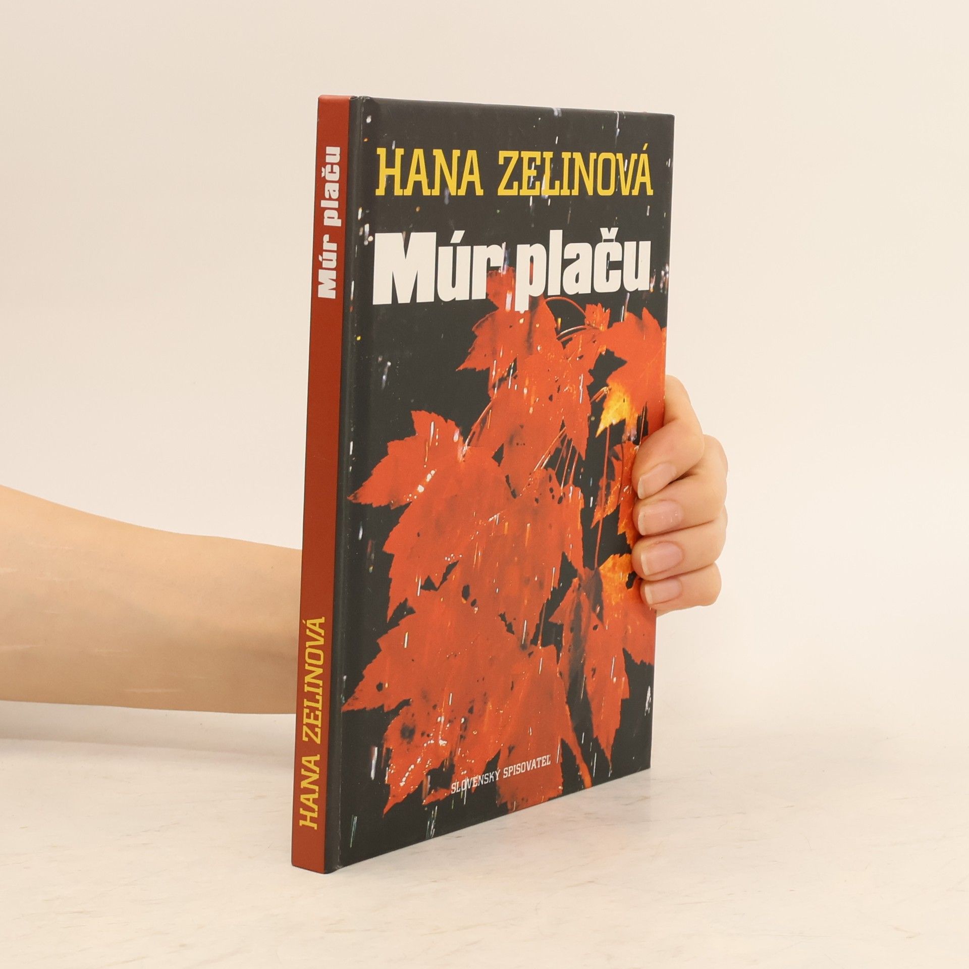 Hana Zelinová Múr plaču