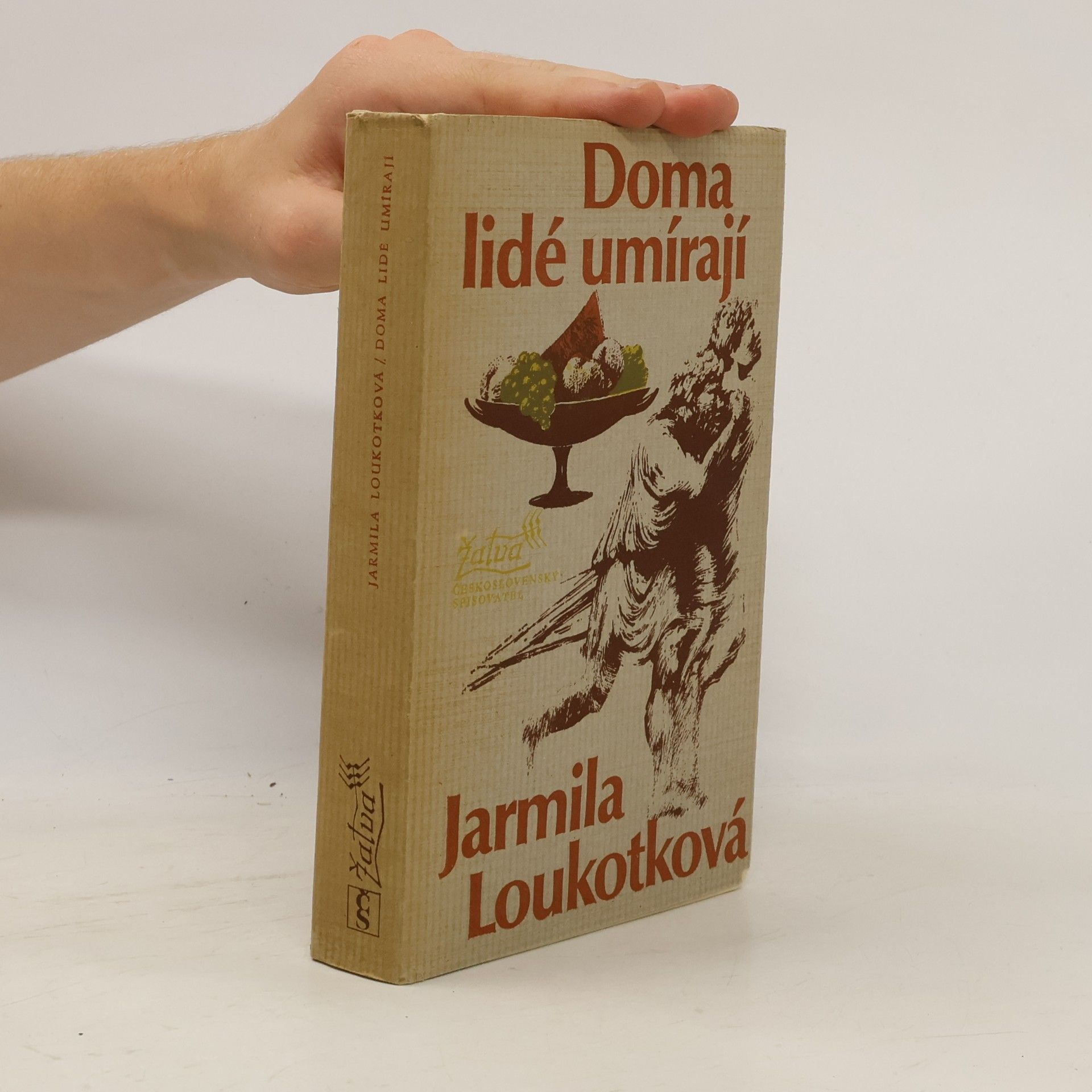 Jarmila Loukotková Doma lidé umírají