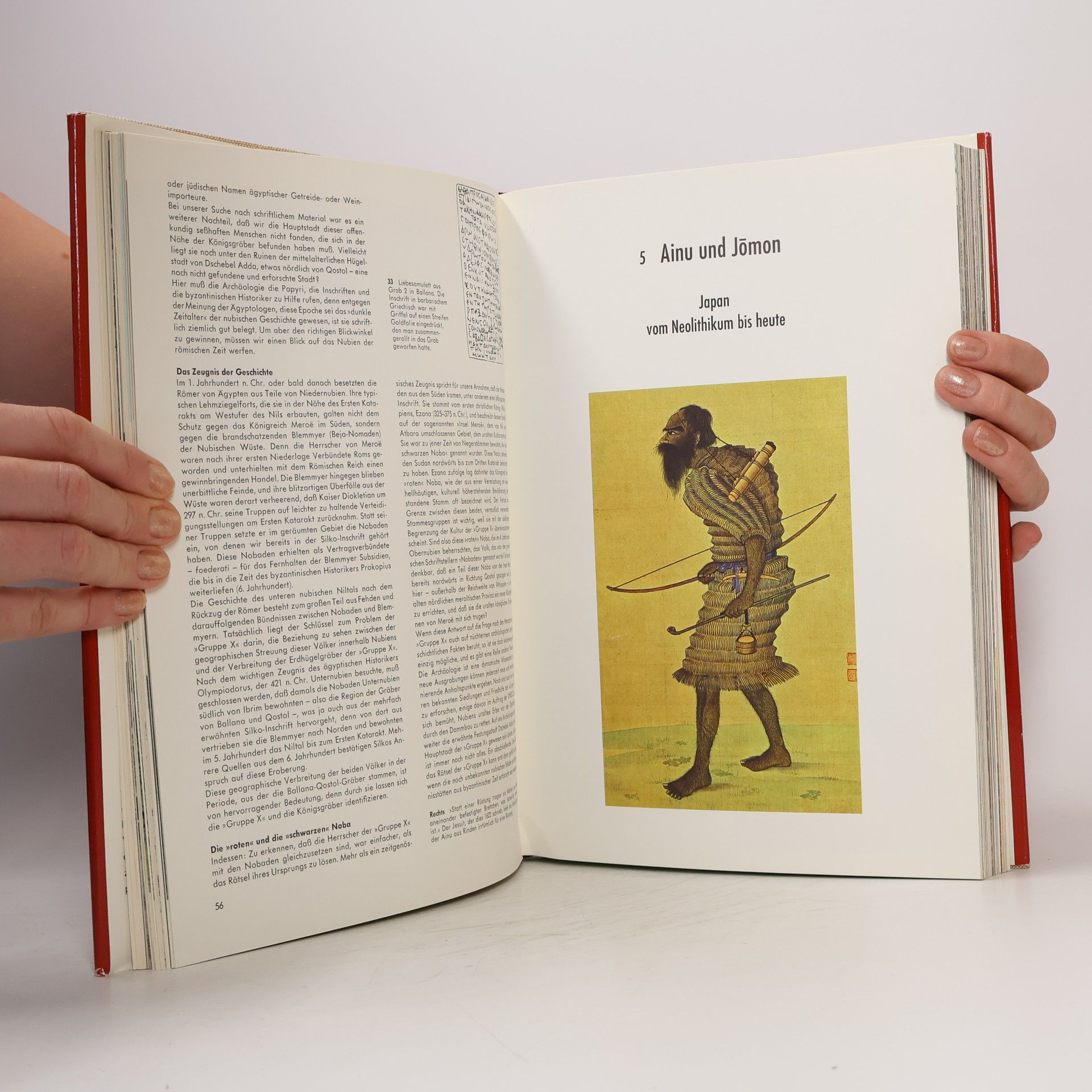 Autores varios Versunkene Kulturen