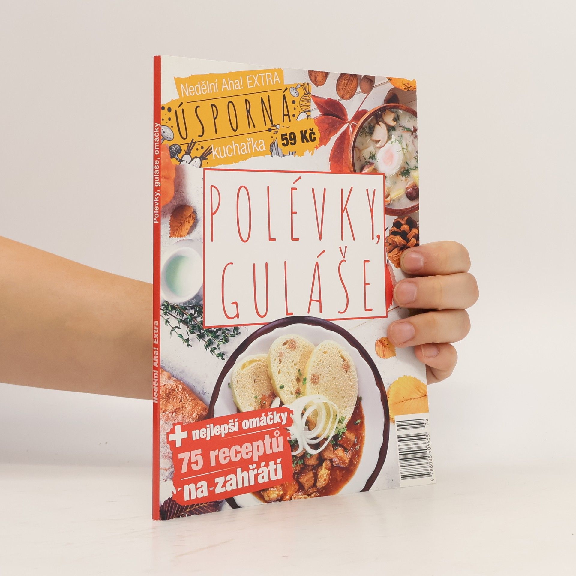 Various authors Polévky, guláše