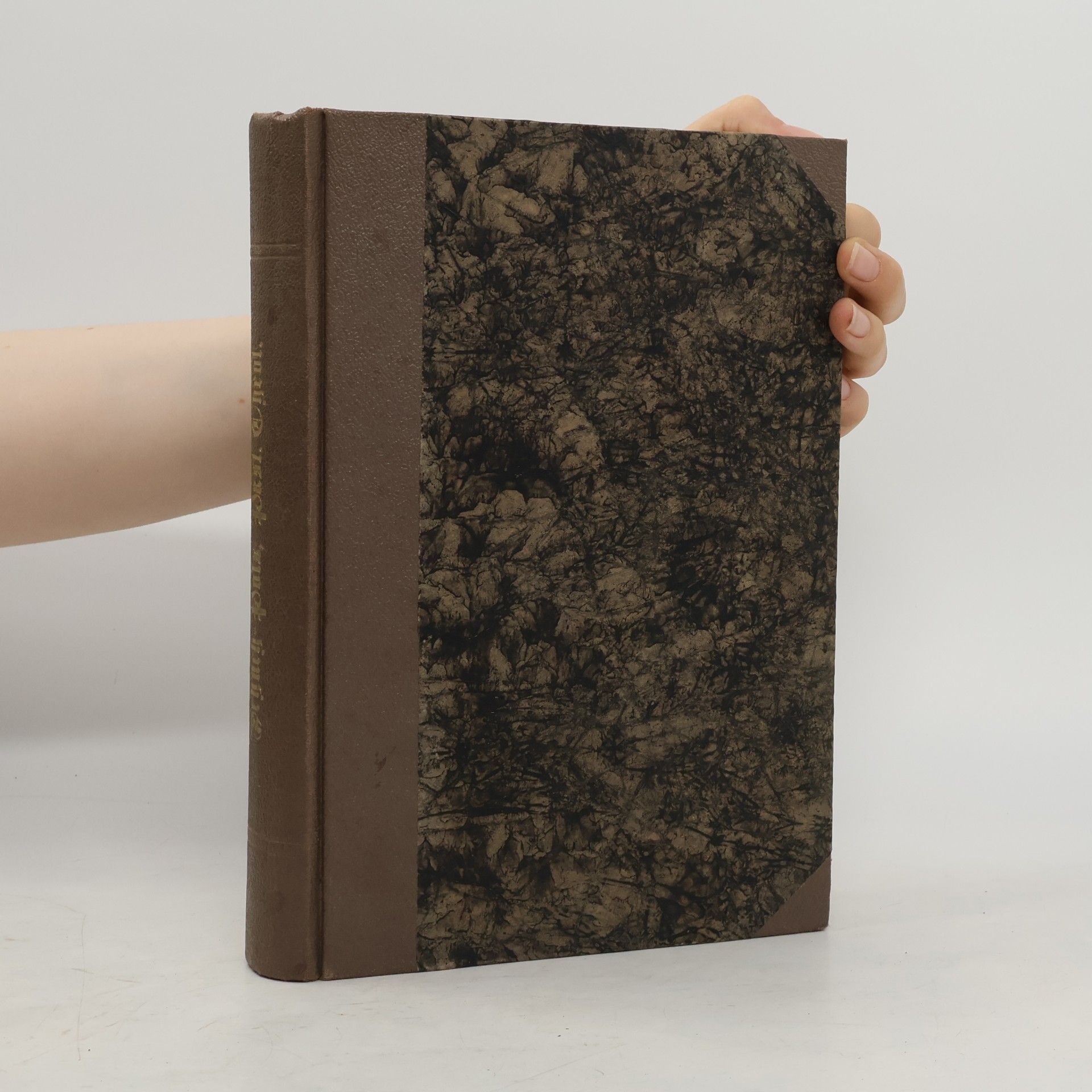 Ignaz Schüch Handbuch der Pastoraltheologie