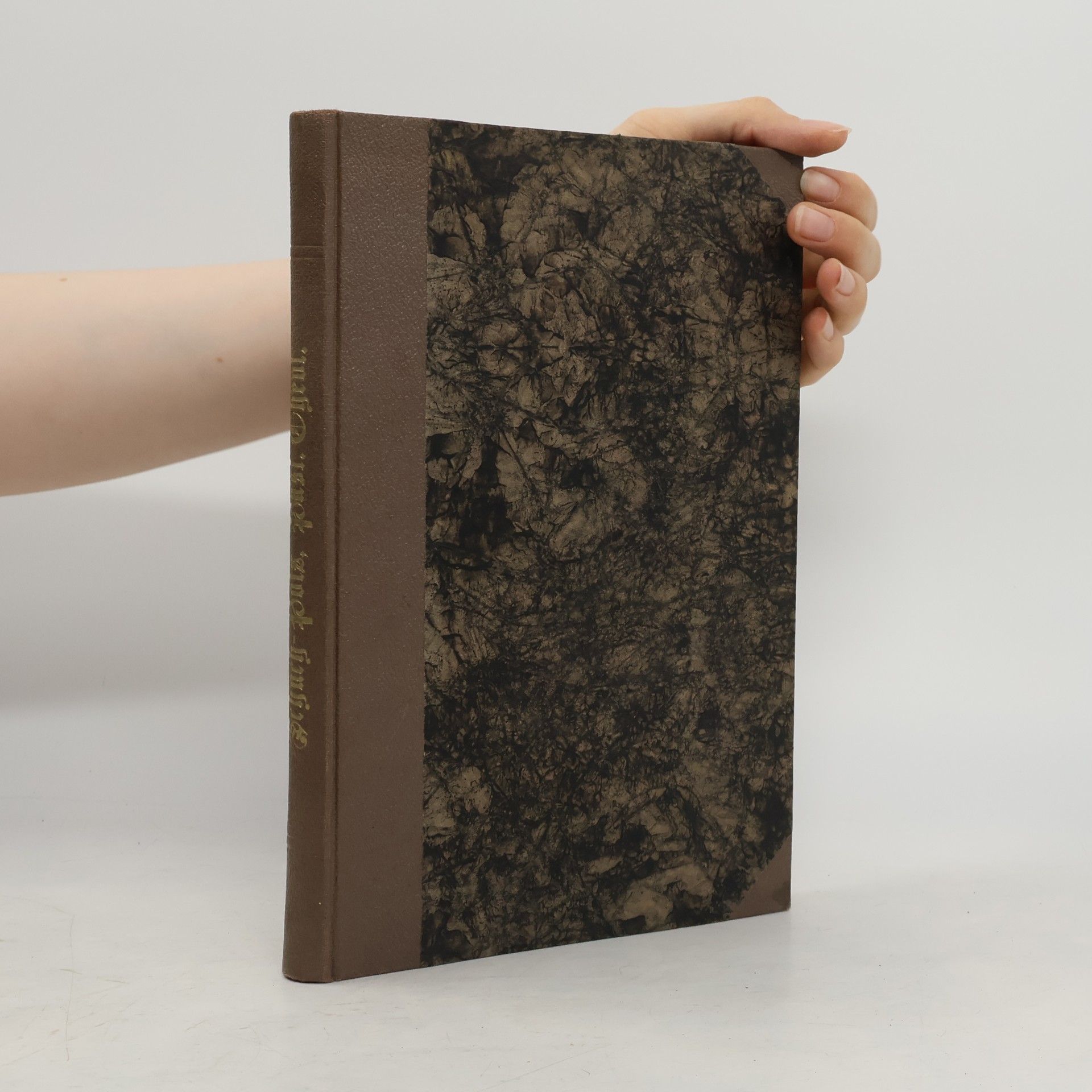 Ignaz Schüch Handbuch der Pastoraltheologie