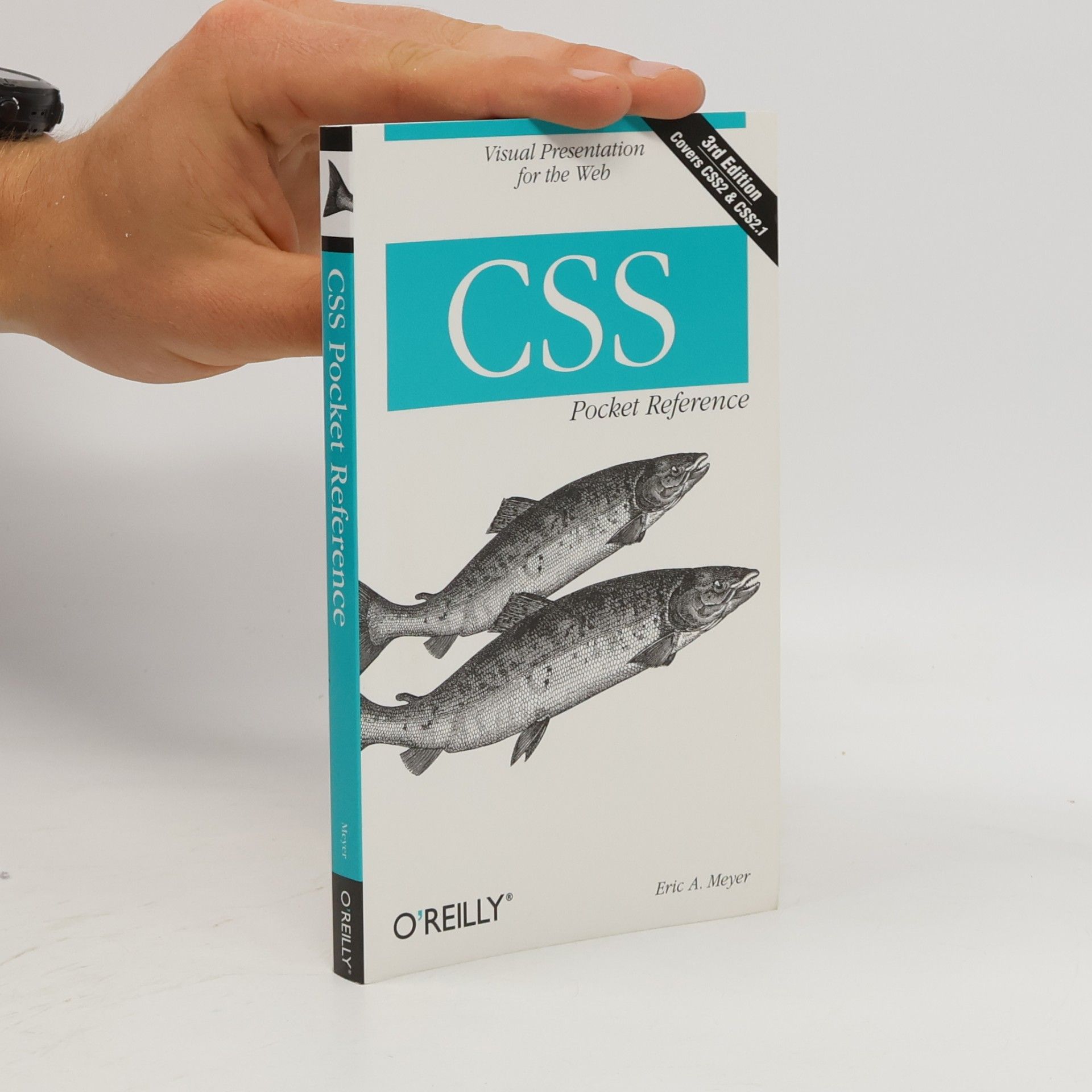 Eric A. Meyer CSS