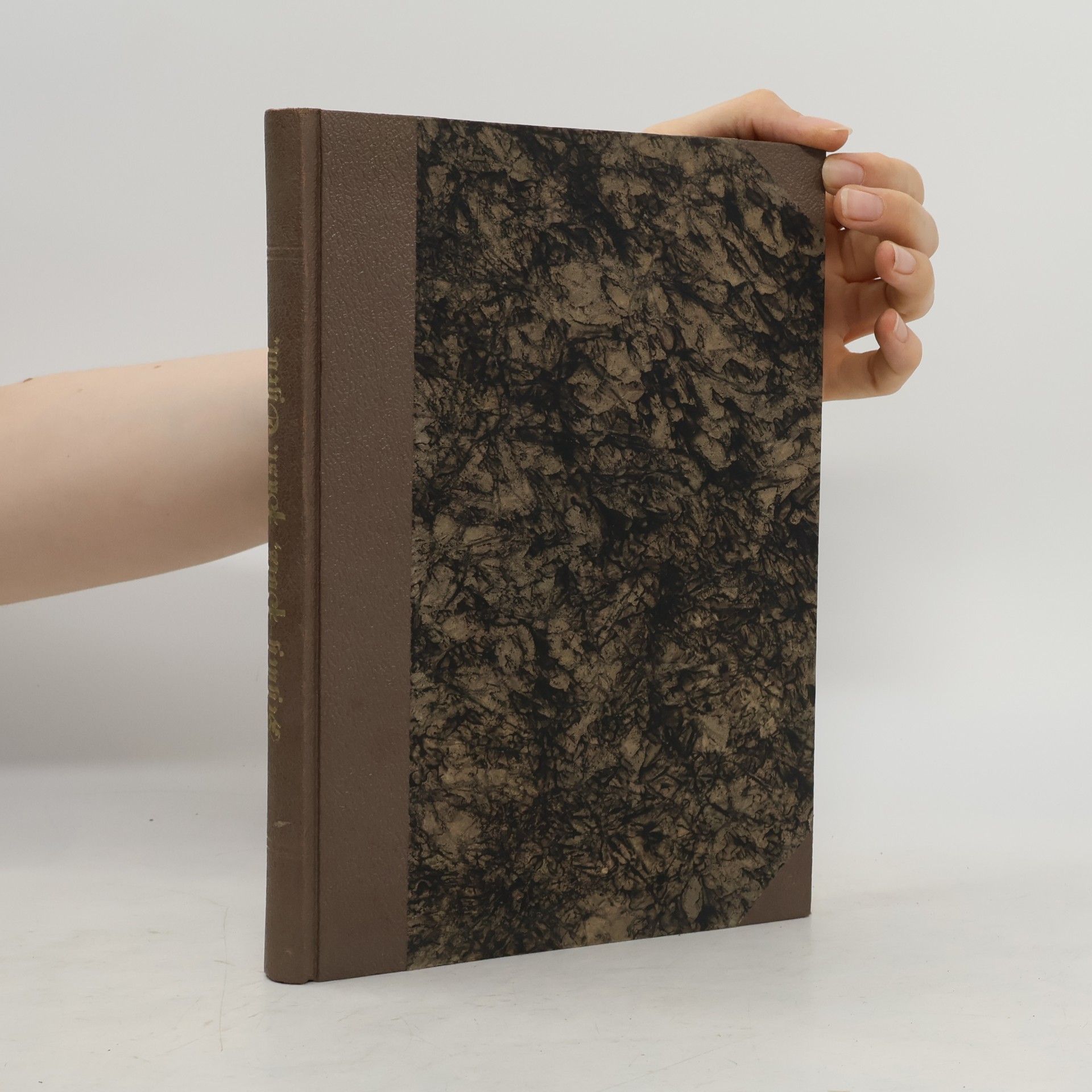 Ignaz Schüch Handbuch der Pastoraltheologie
