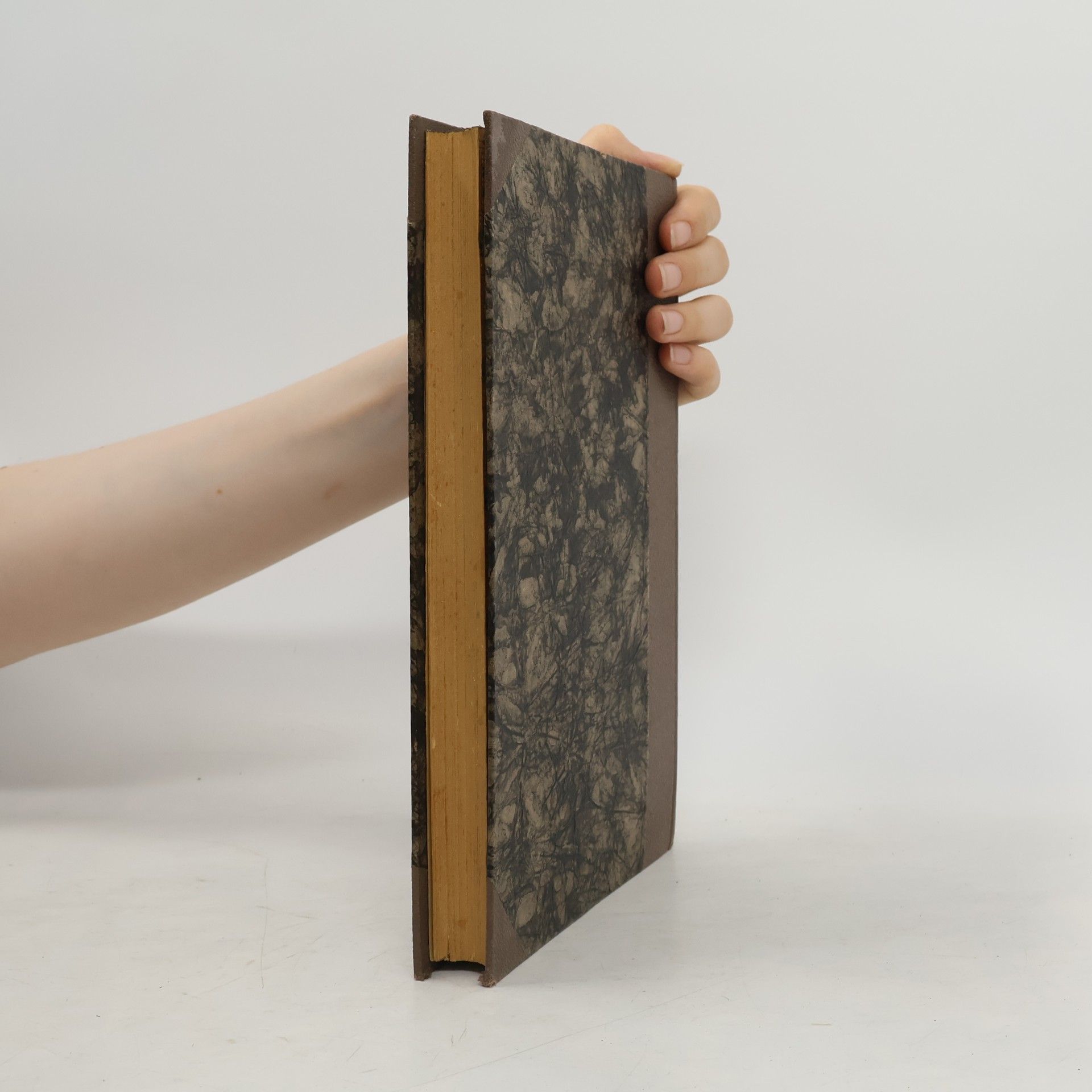 Ignaz Schüch Handbuch der Pastoraltheologie