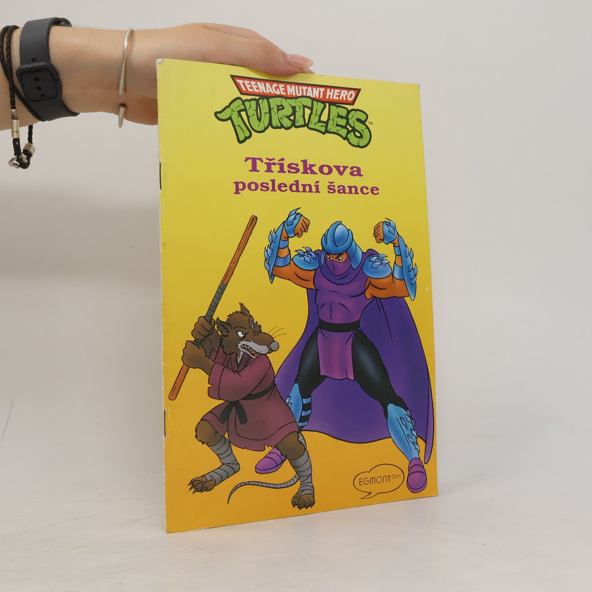 Teenage Mutant Hero Turtles. Třískova poslední šance.