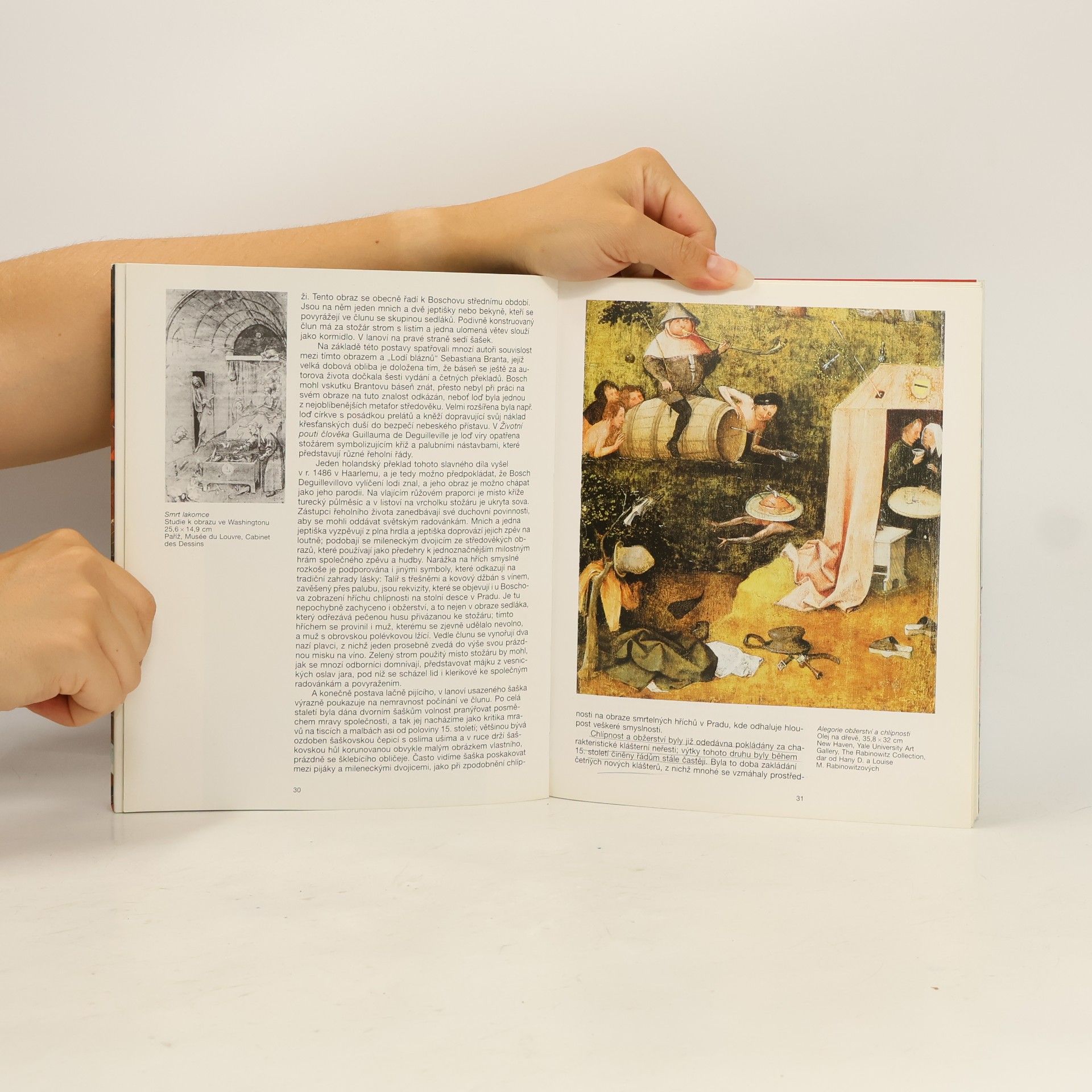 Walter Bosing Hieronymus Bosch: Kolem 1450-1516