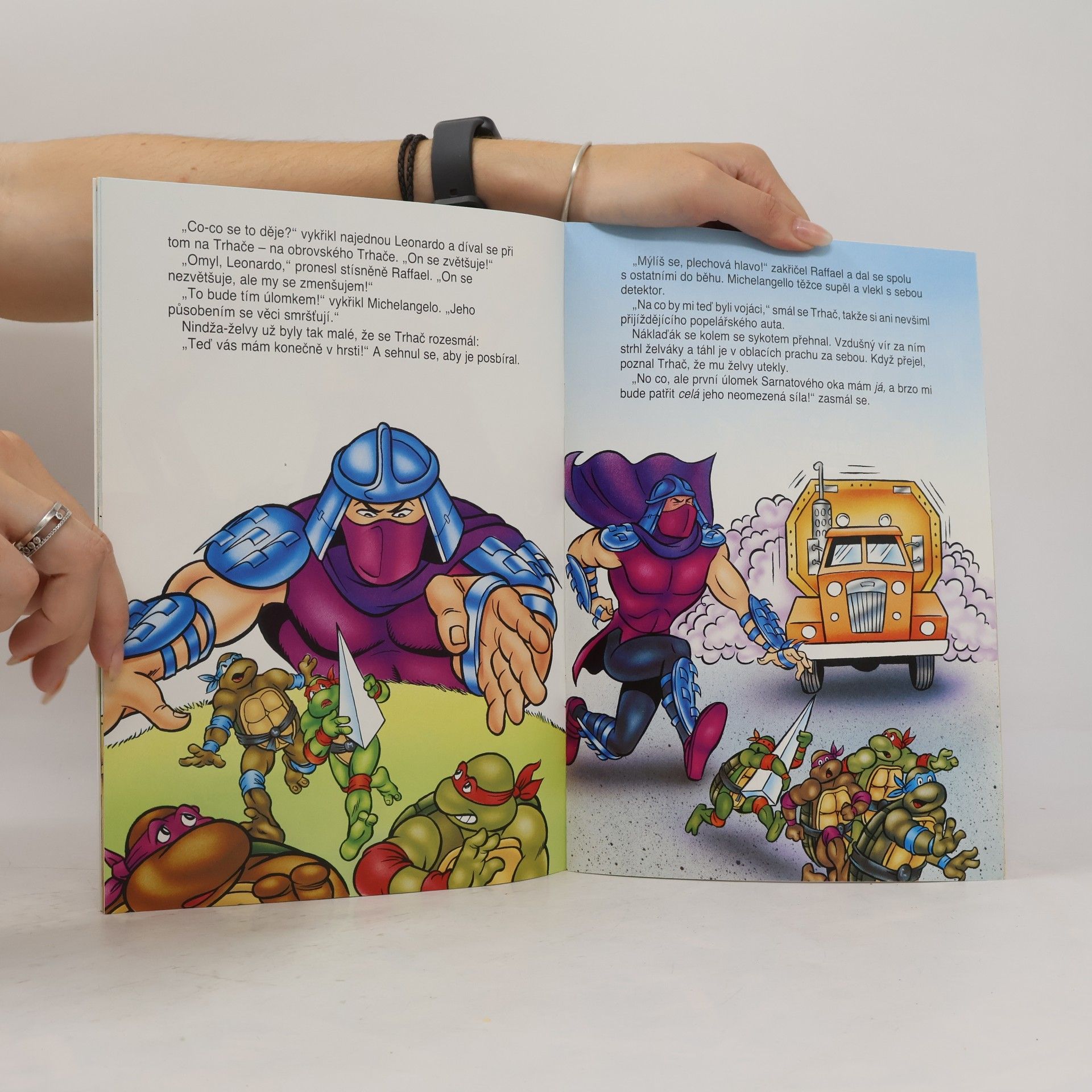 Ken Mitchroney Turtles. Sarnatové oko