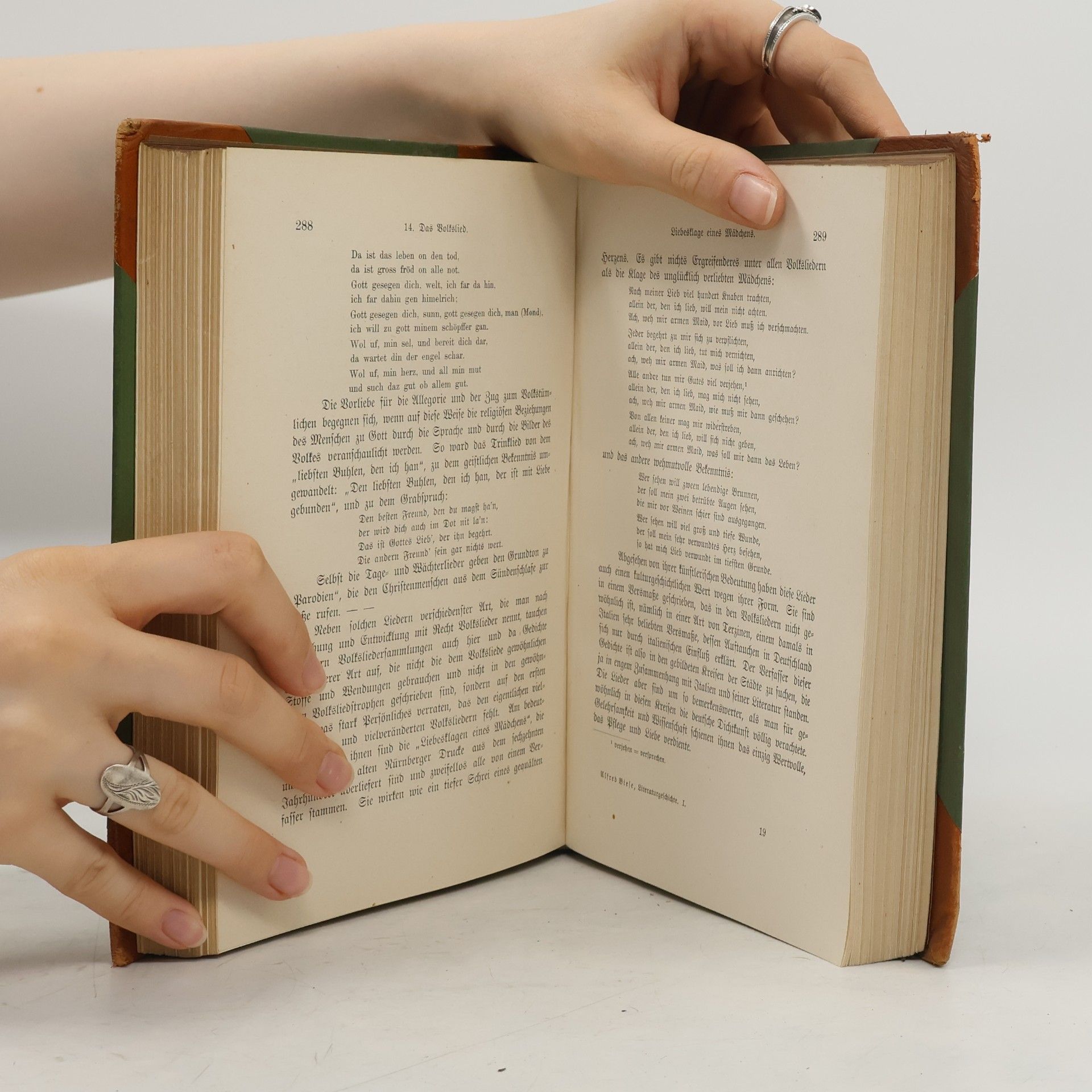 Alfred Biese Deutsche Literaturgeschichte