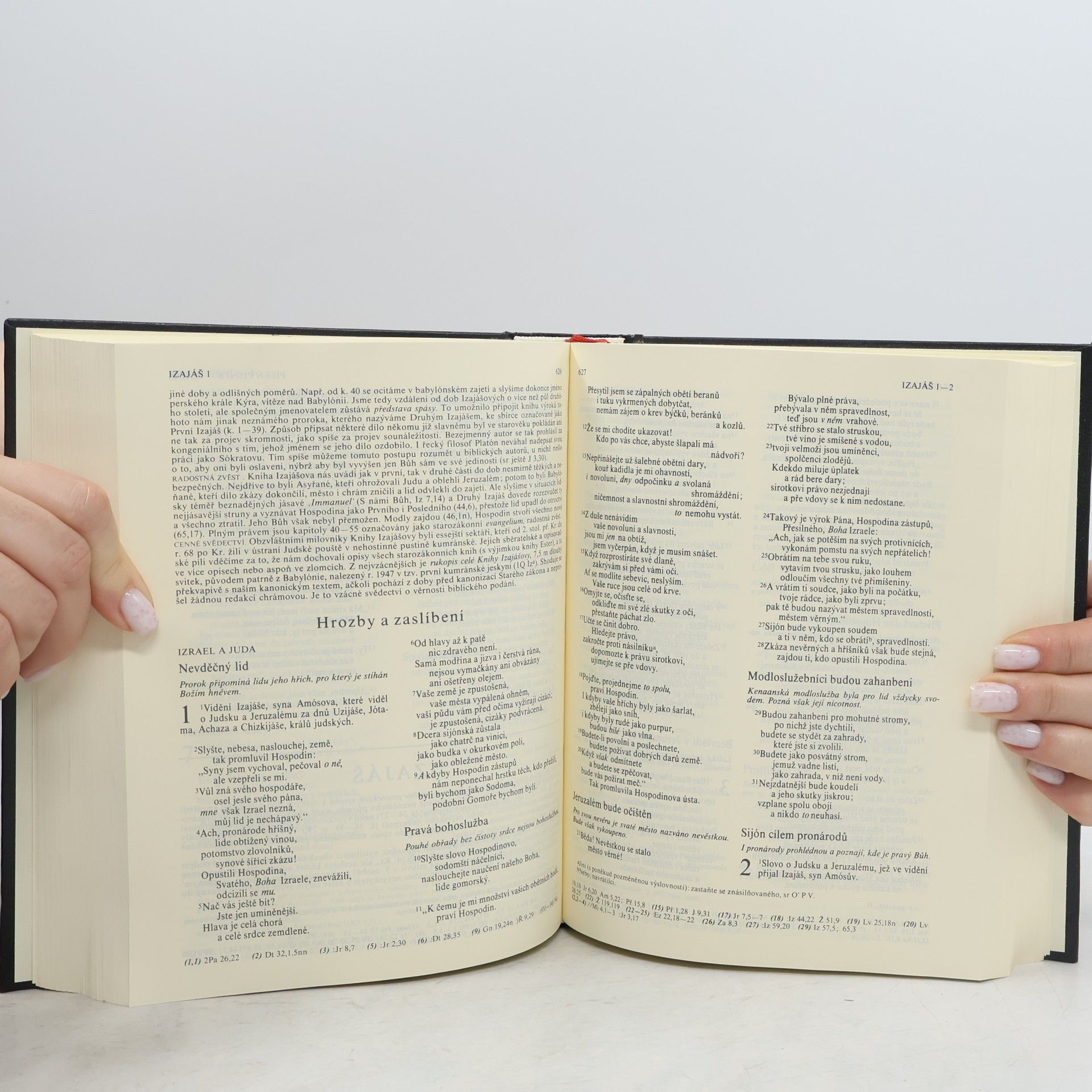 Various authors Bible