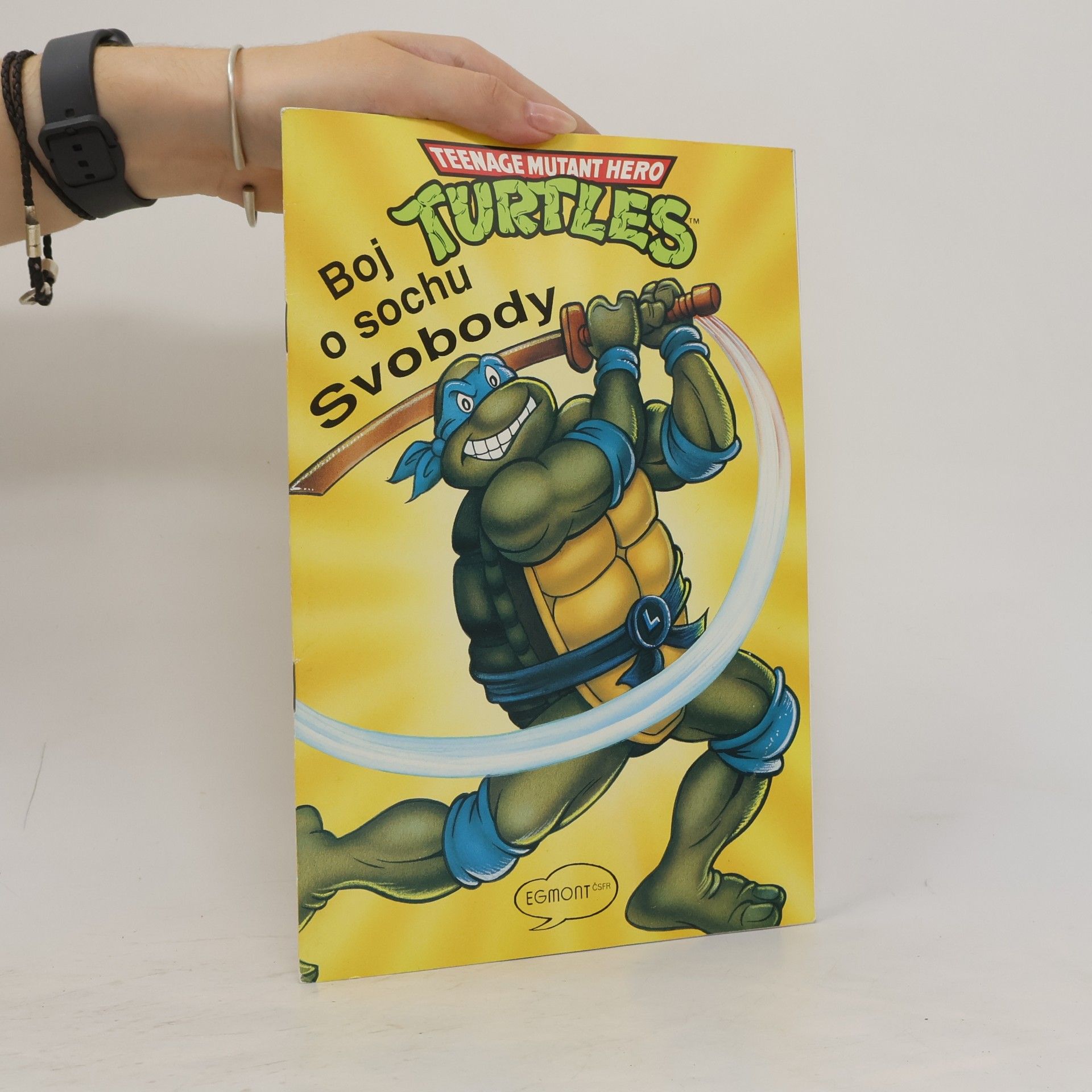 Teenage Mutant Hero Turtles 8: Boj o sochu Svobody