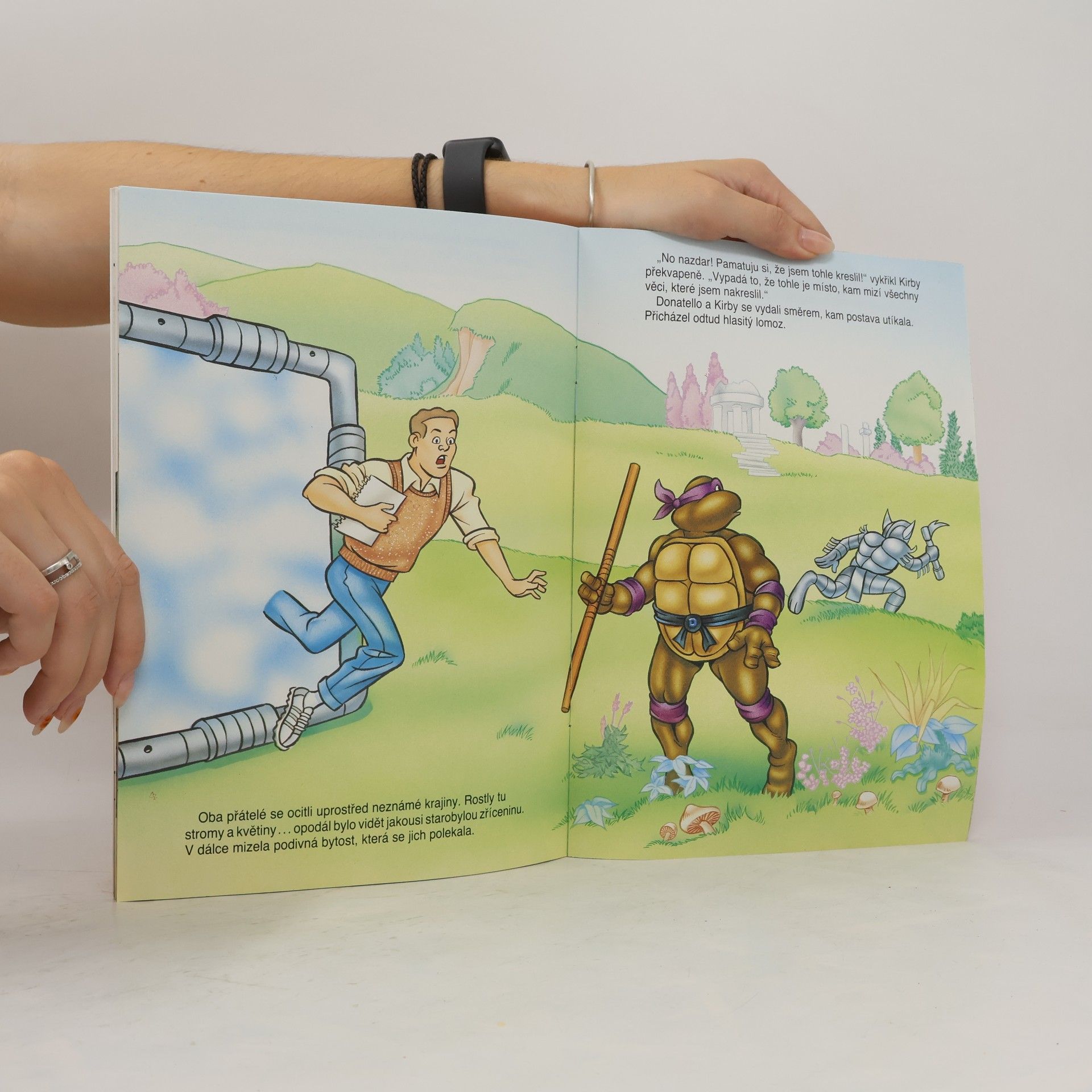 Peter A. Laird Teenage Mutant Hero Turtles: Kouzelný krystal