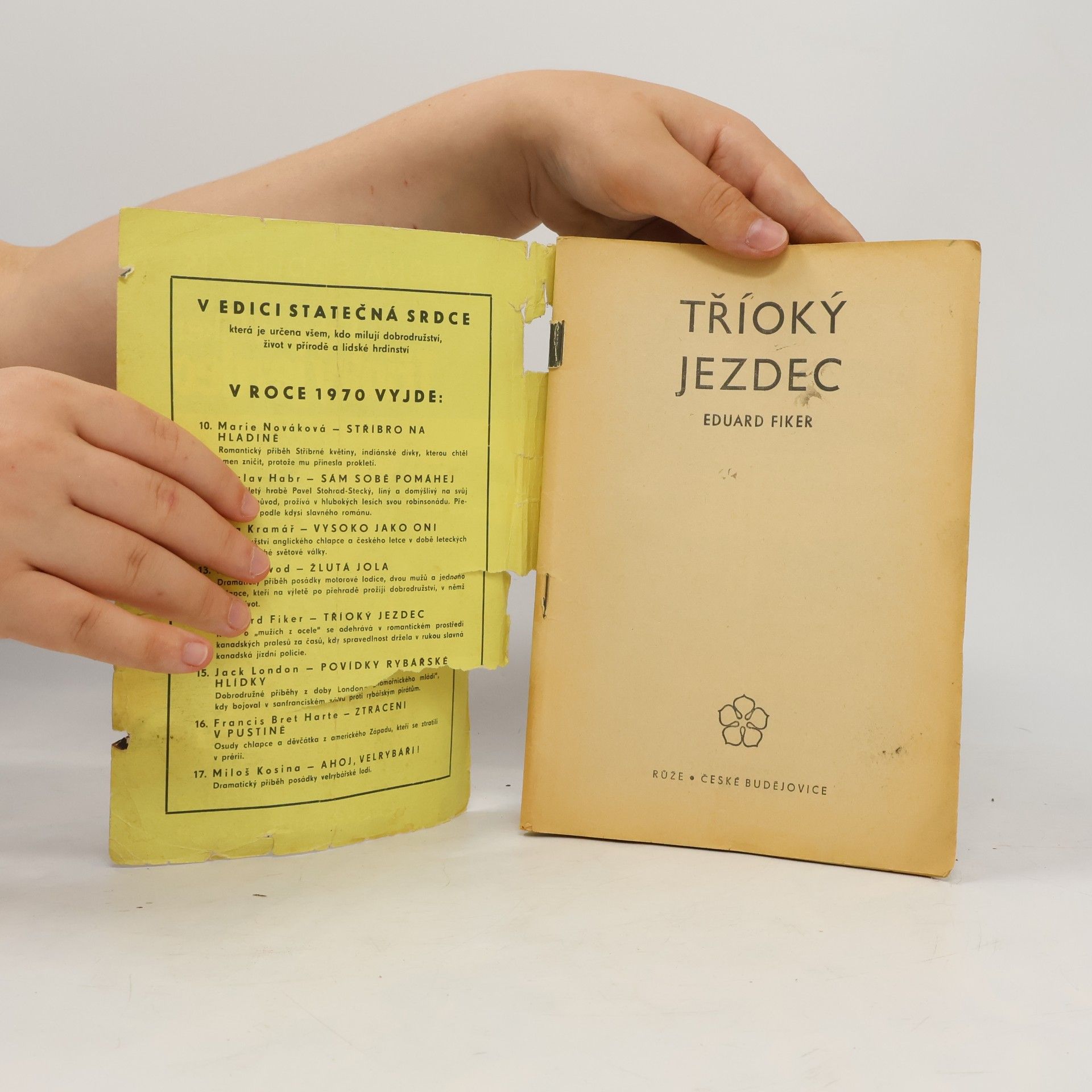Eduard Fiker Statečná srdce/14. Tříoký jezdec