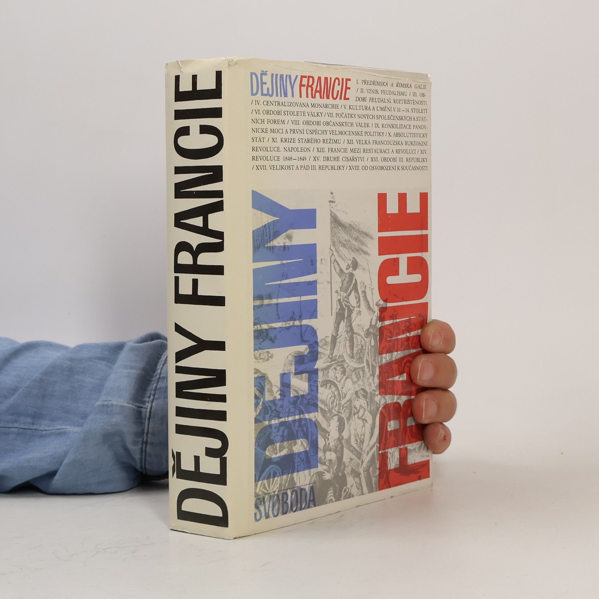Kolektiv autorů Dějiny Francie