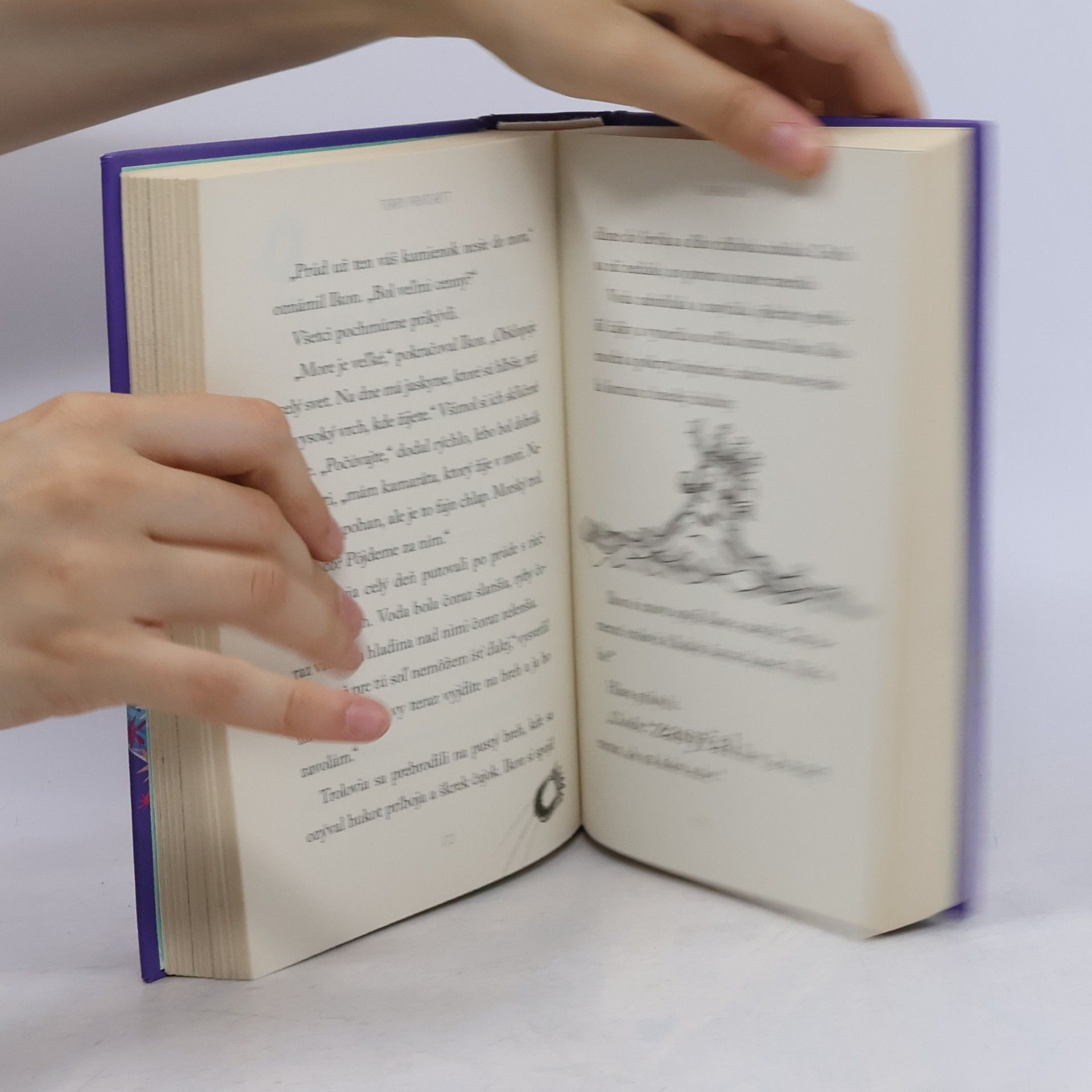 Terry Pratchett Striga na vysávači