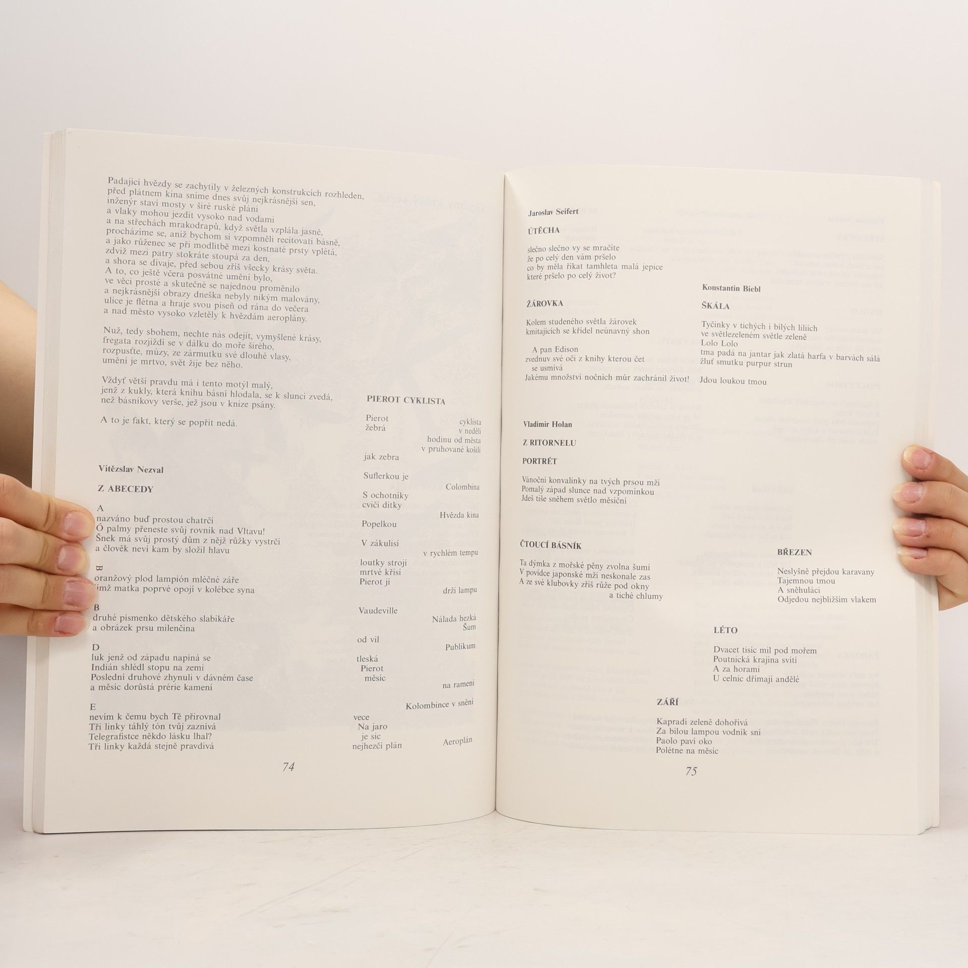 Jaroslava Hrabáková Poezie: Texty k lit. výchově pro 5.-9. roč. ZŠ