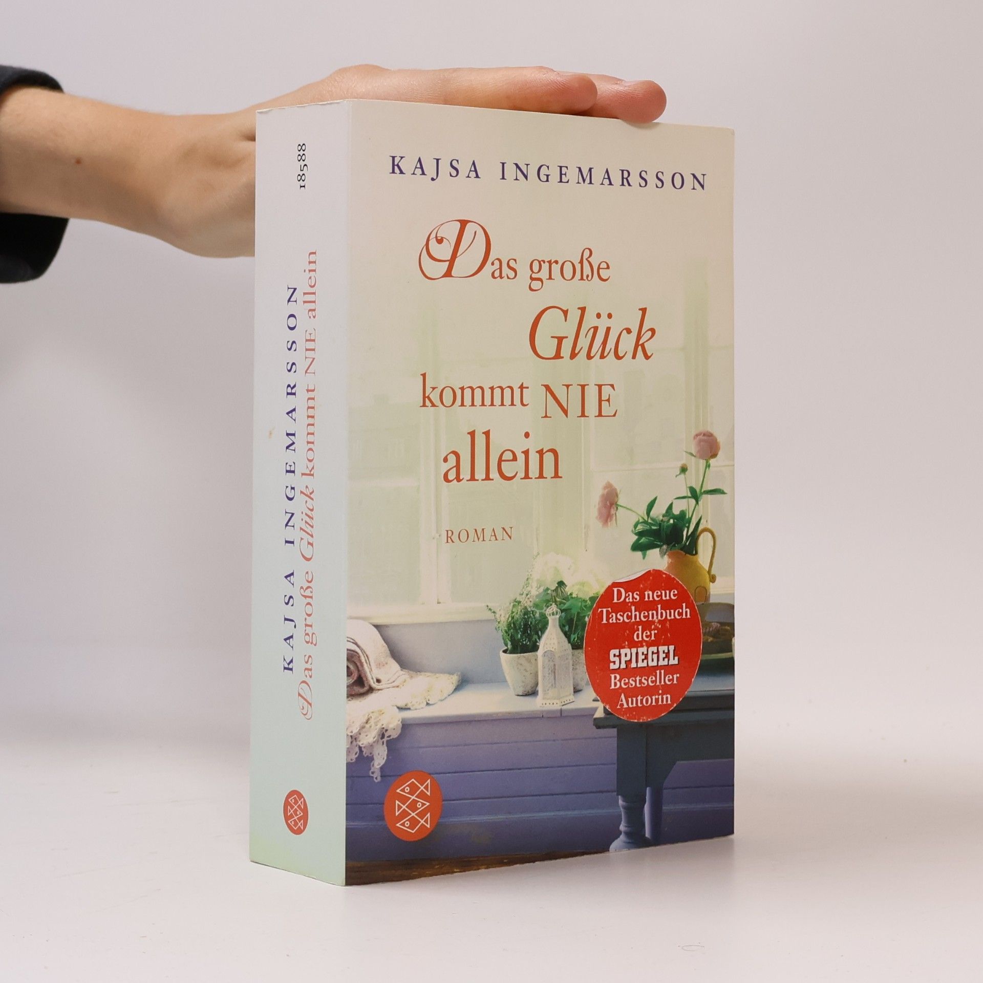 Kajsa Ingemarsson Das grose Glück kommt nie allein