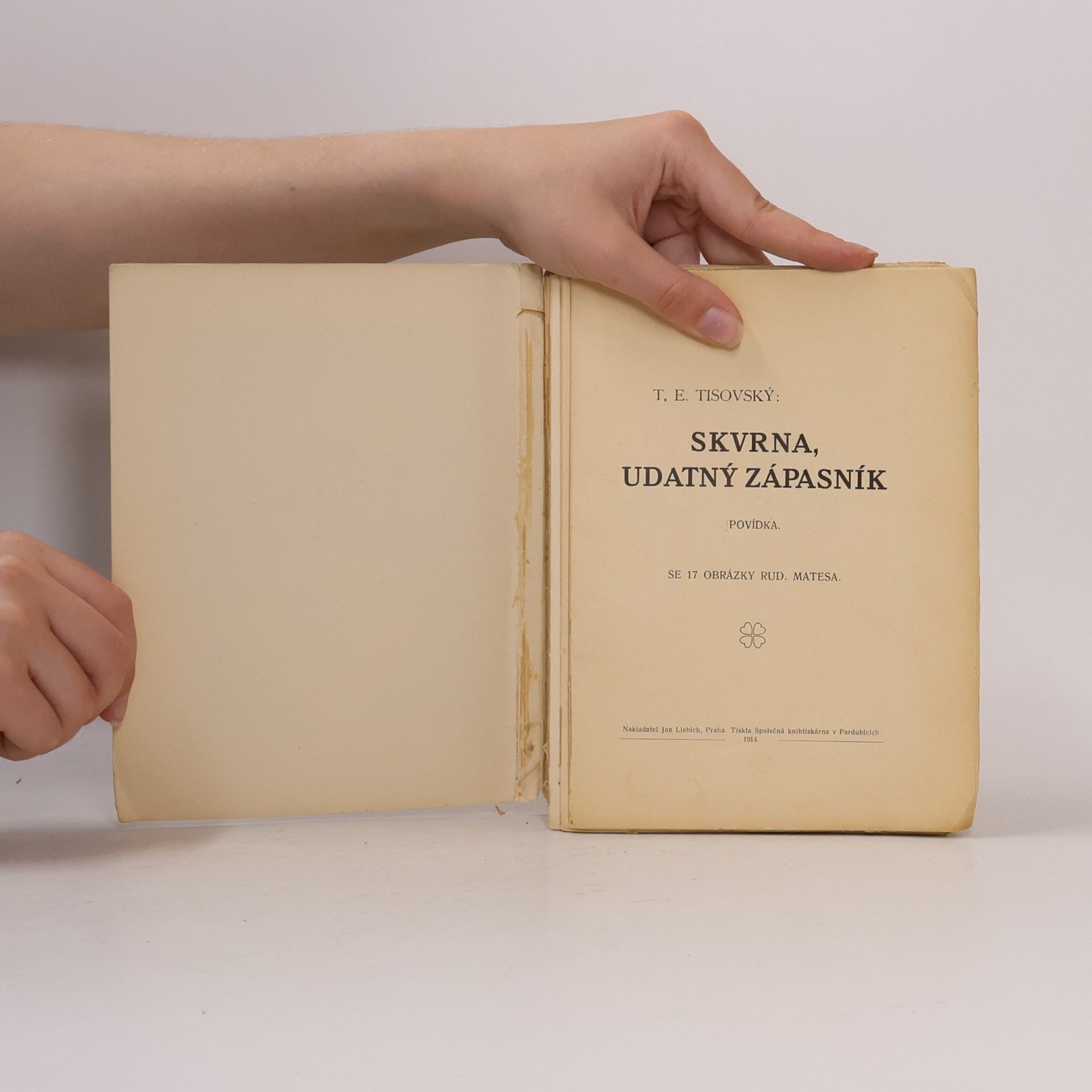 T. E. Tisovský Skvrna, udatný zápisník