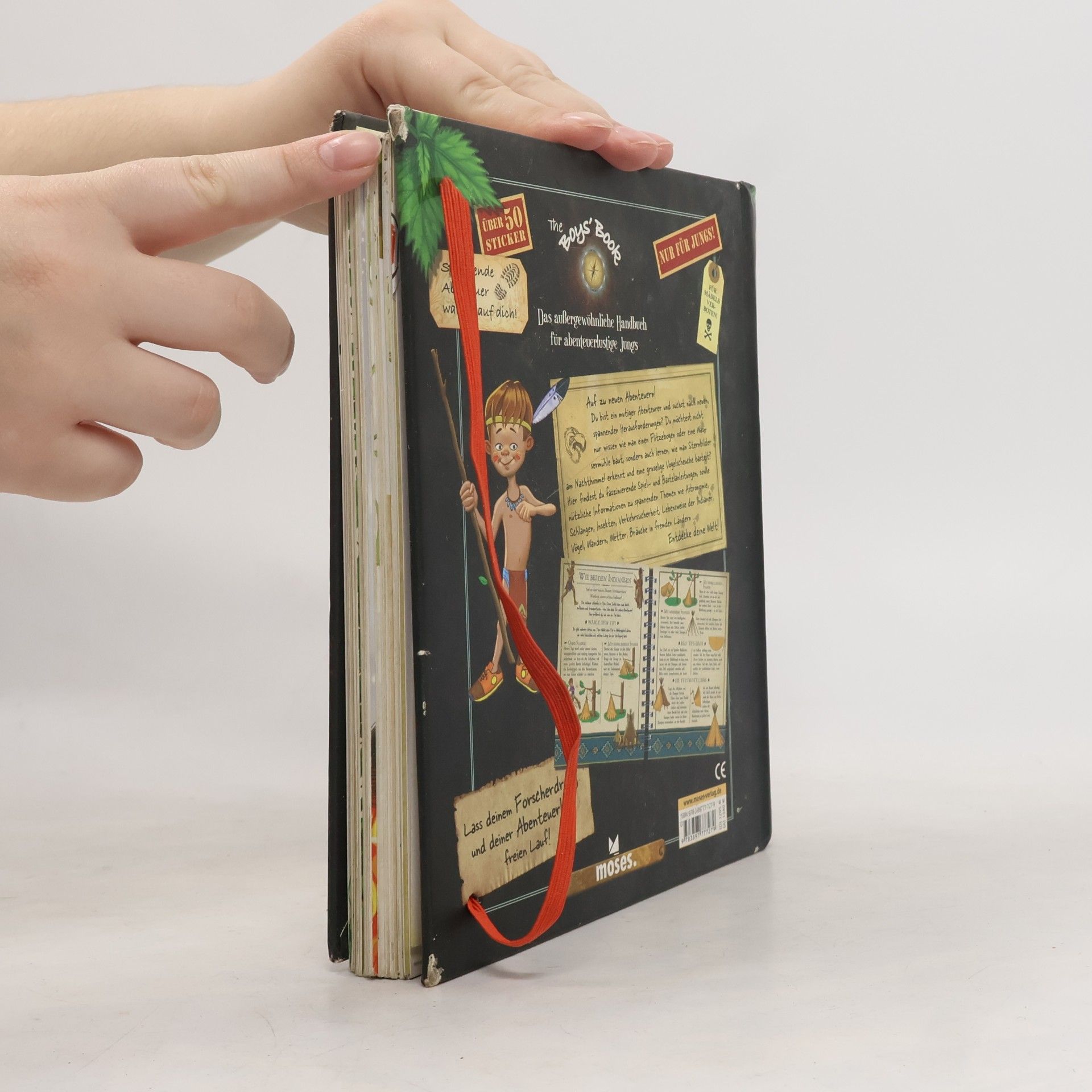 Michèle Lecreux The Boy's Book: Das außergewöhnliche Handbuch für abenteuerlustige Jungs