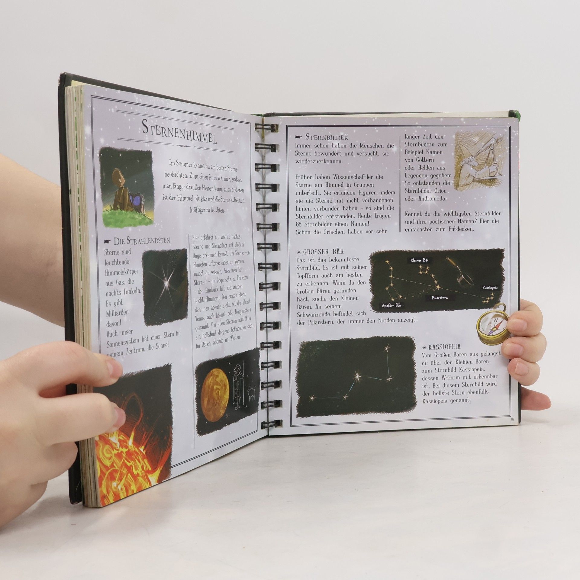 Michèle Lecreux The Boy's Book: Das außergewöhnliche Handbuch für abenteuerlustige Jungs