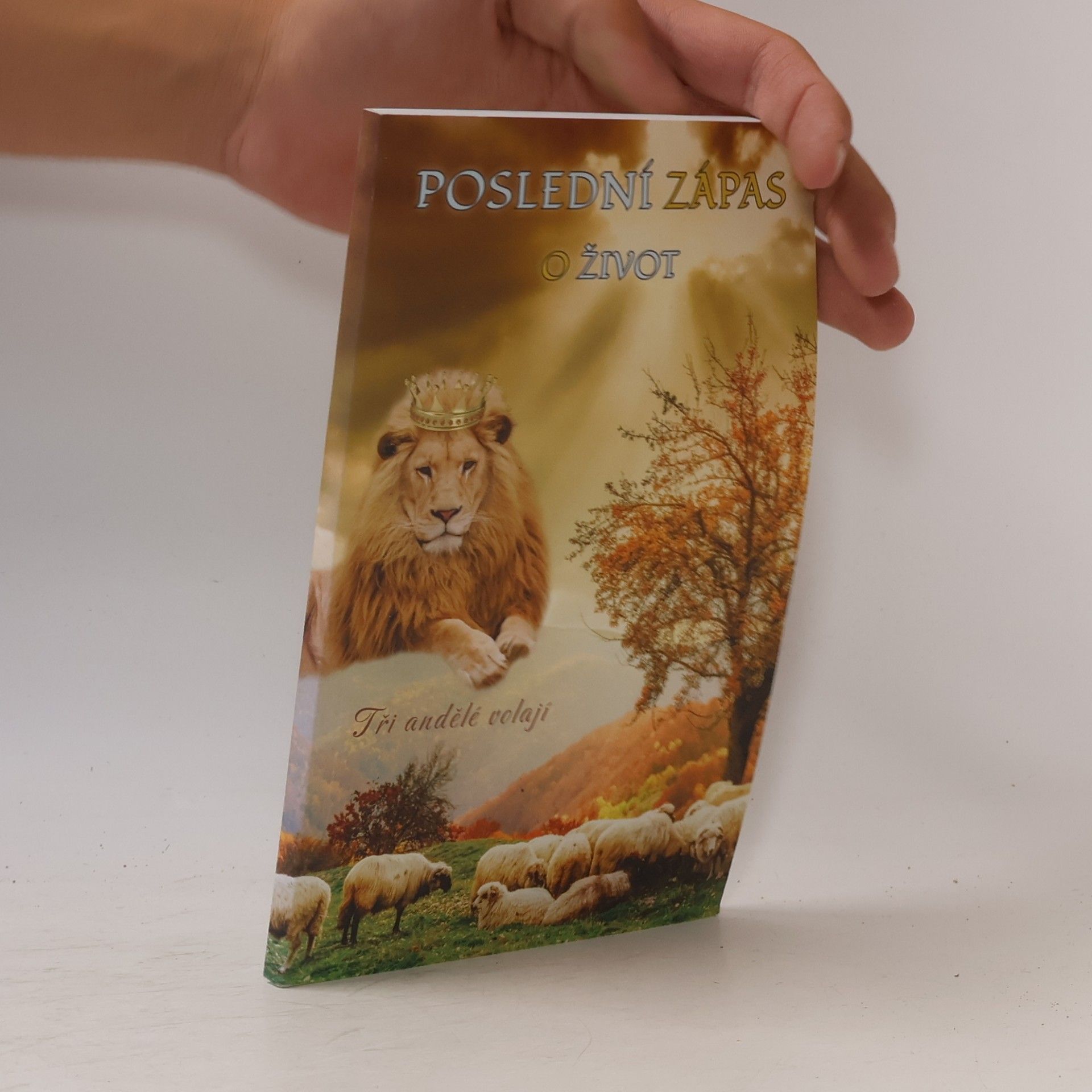 Sara Kollárová Poslední zápas o život Tři andělé volají