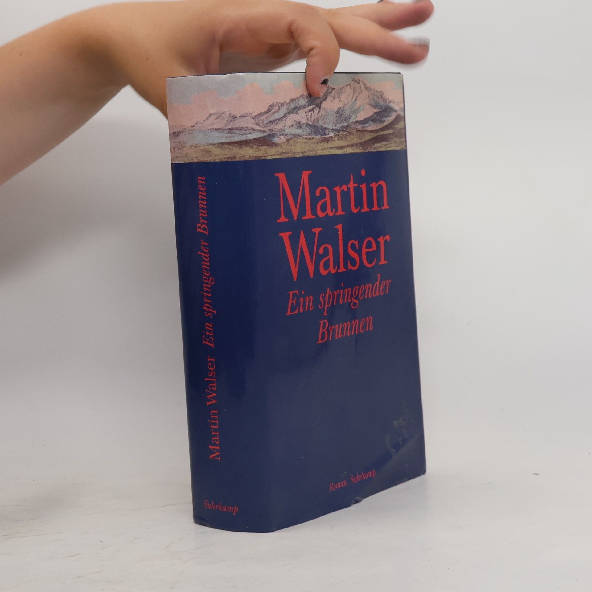 Martin Walser Ein springender Brunnen