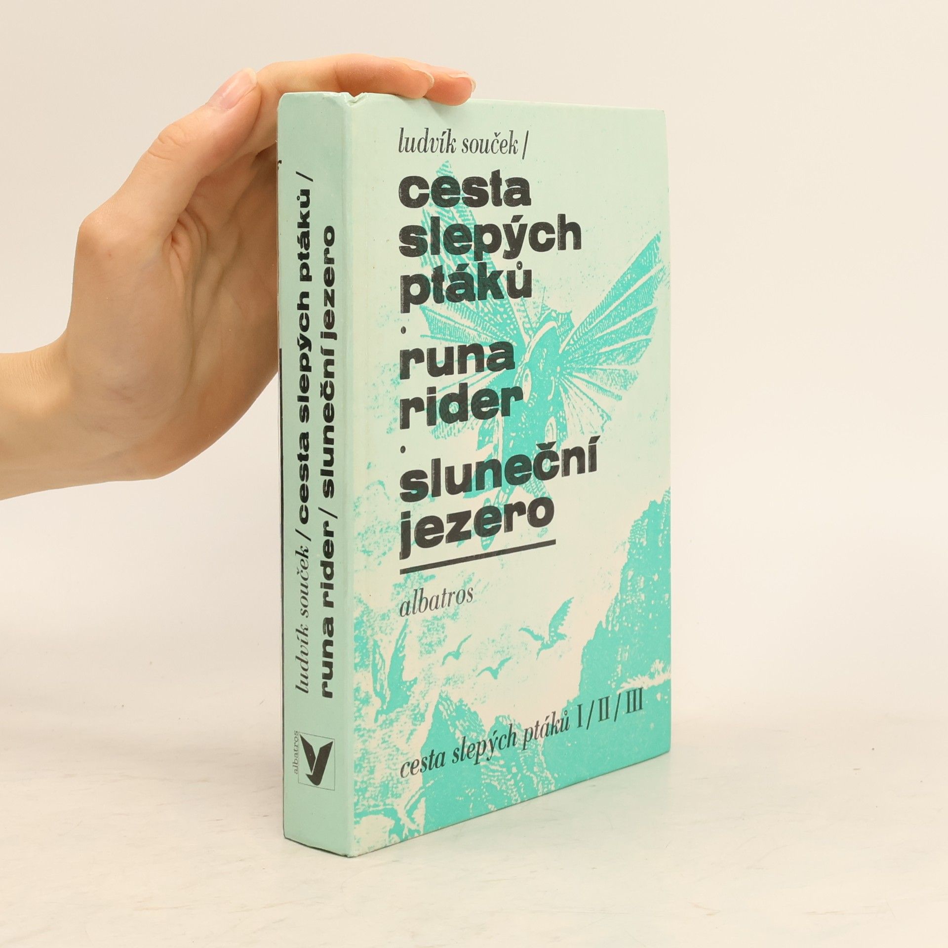 Ludvík Souček Cesta slepých ptáků. Runa rider. Sluneční jezero