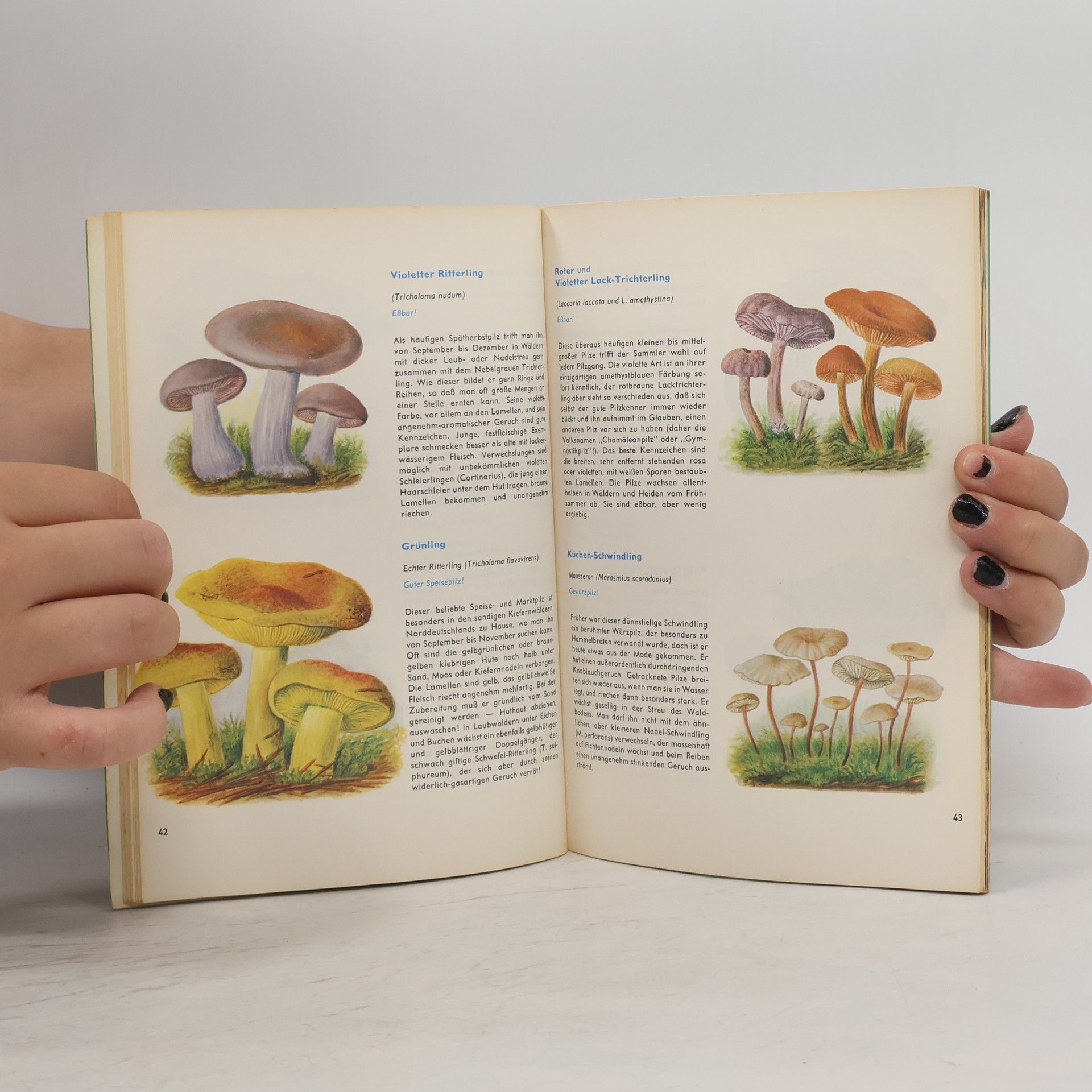Various authors Pilz koch Buch