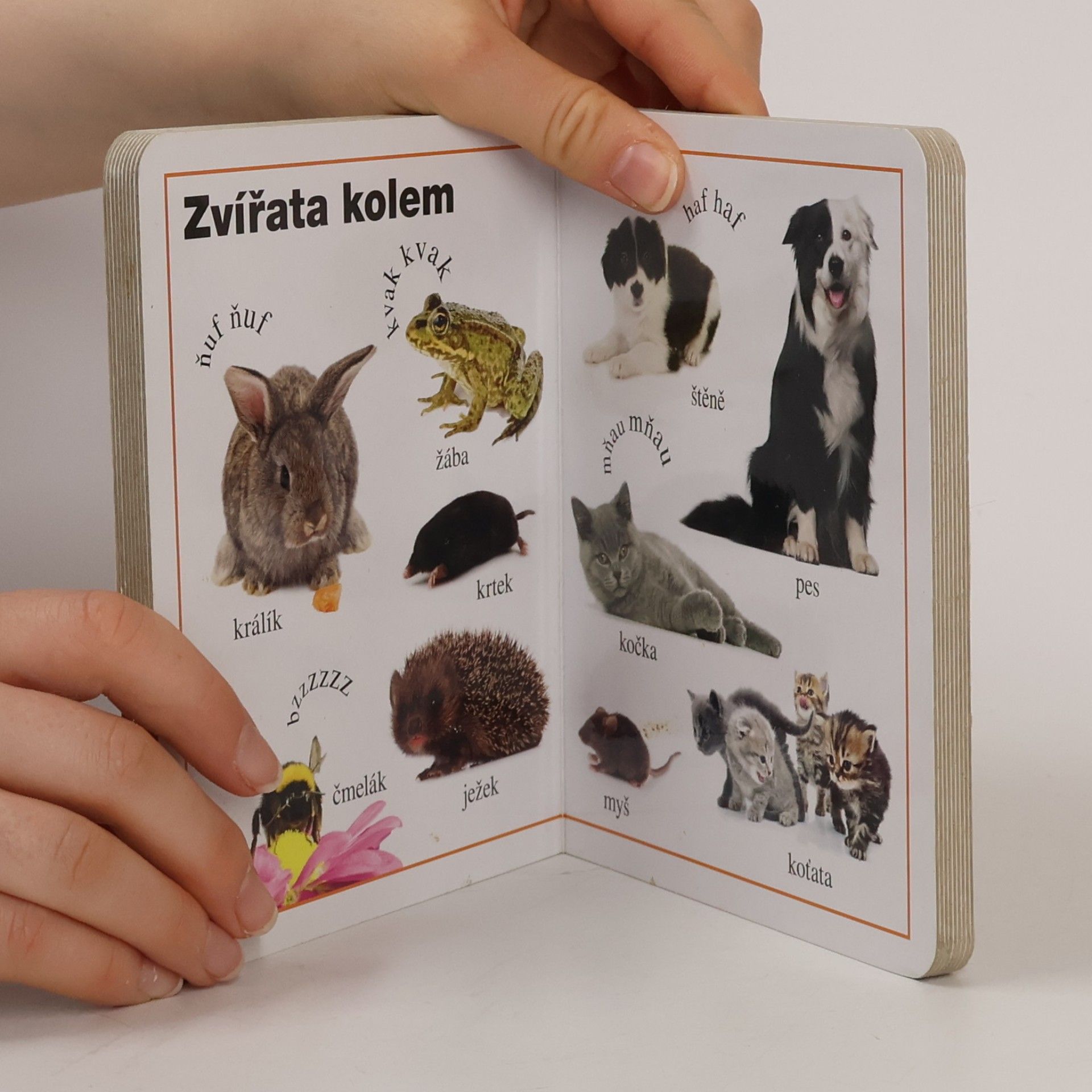 Collectif d'auteurs Moje první kniha - Farma