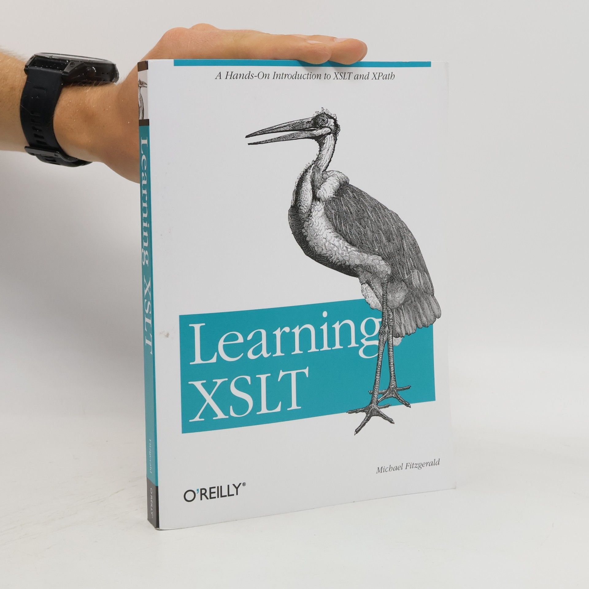 Michael J. Fitzgerald Learning XSLT