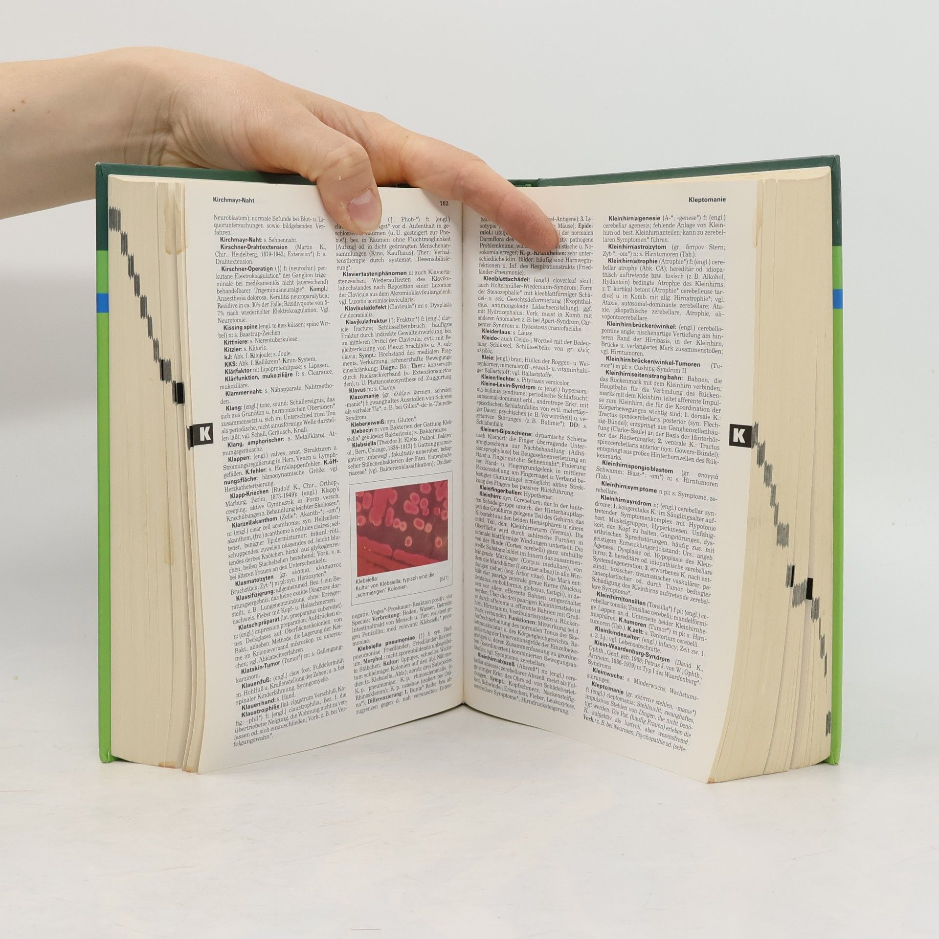 Willibald Pschyrembel Pschyrembel Medizinisches Wörterbuch