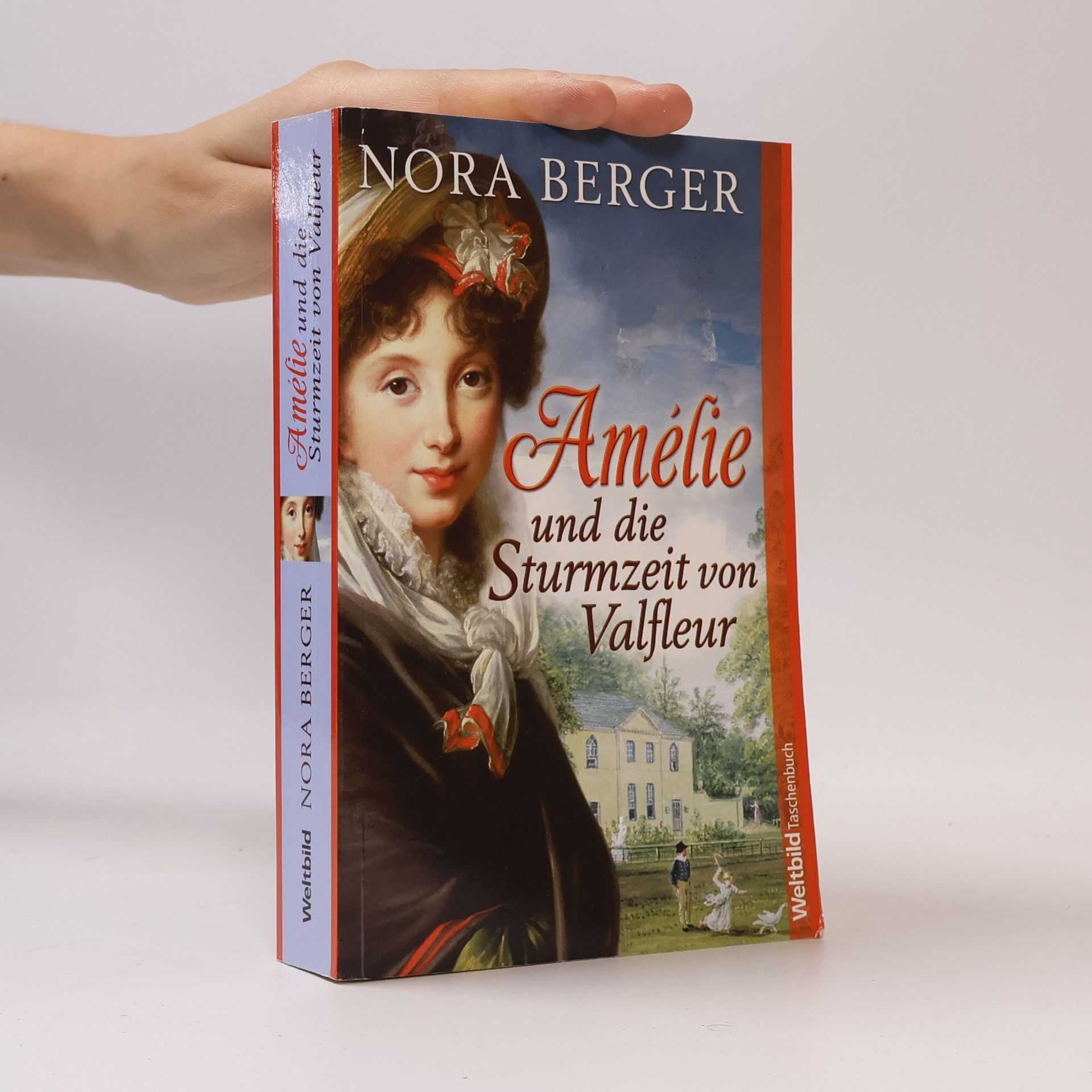 Nora Berger Amélie und die Sturmzeit von Valfleur
