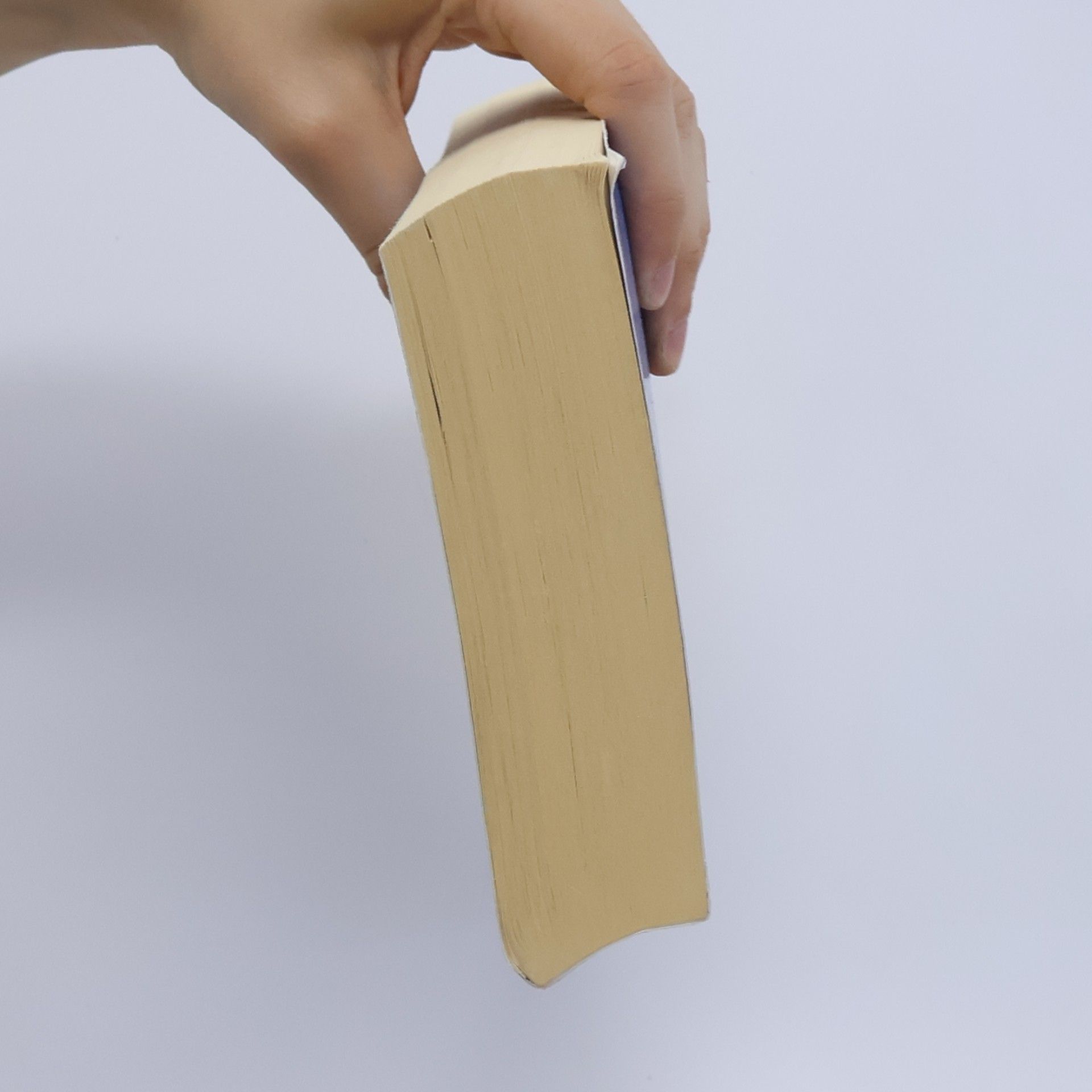 Autorenkollektiv Žhavé léto: hříšné povídky