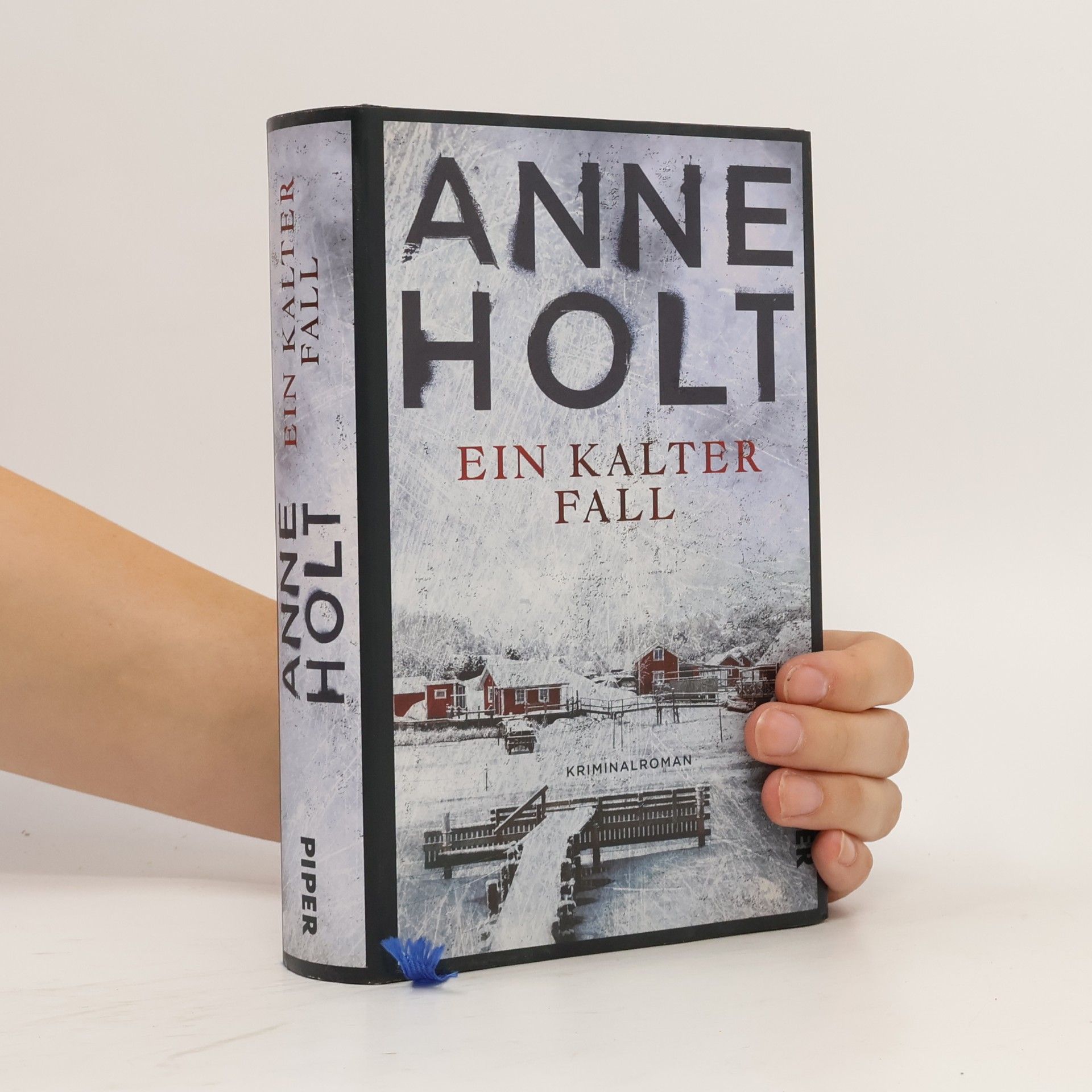 Anne Holt Ein kalter Fall
