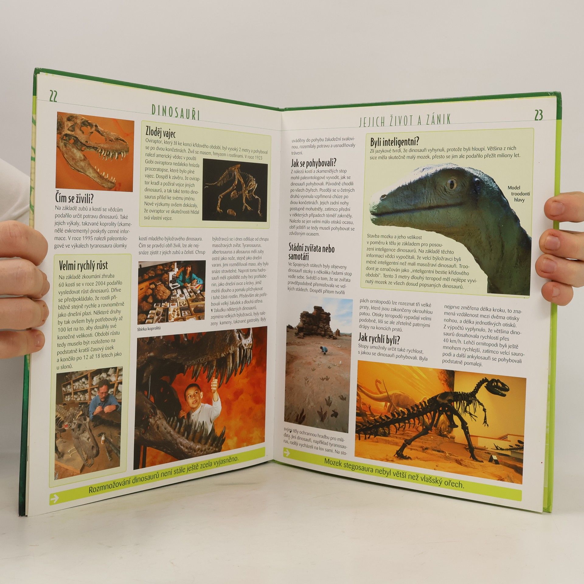 Autorenkollektiv Dinosauři. Atlas pro mládež