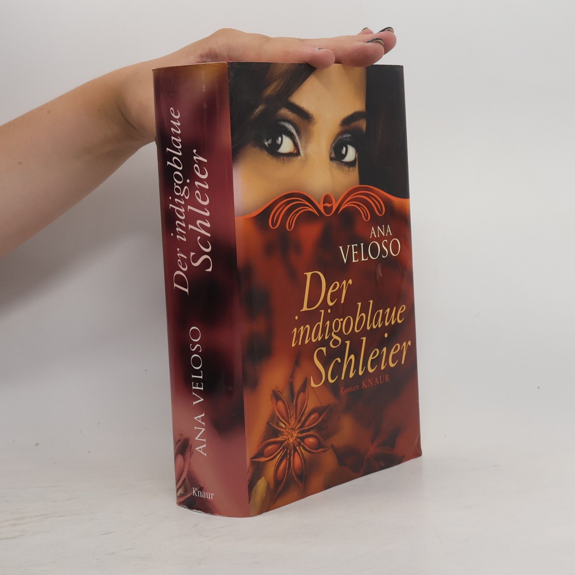 Ana Veloso Der indigoblaue Schleier
