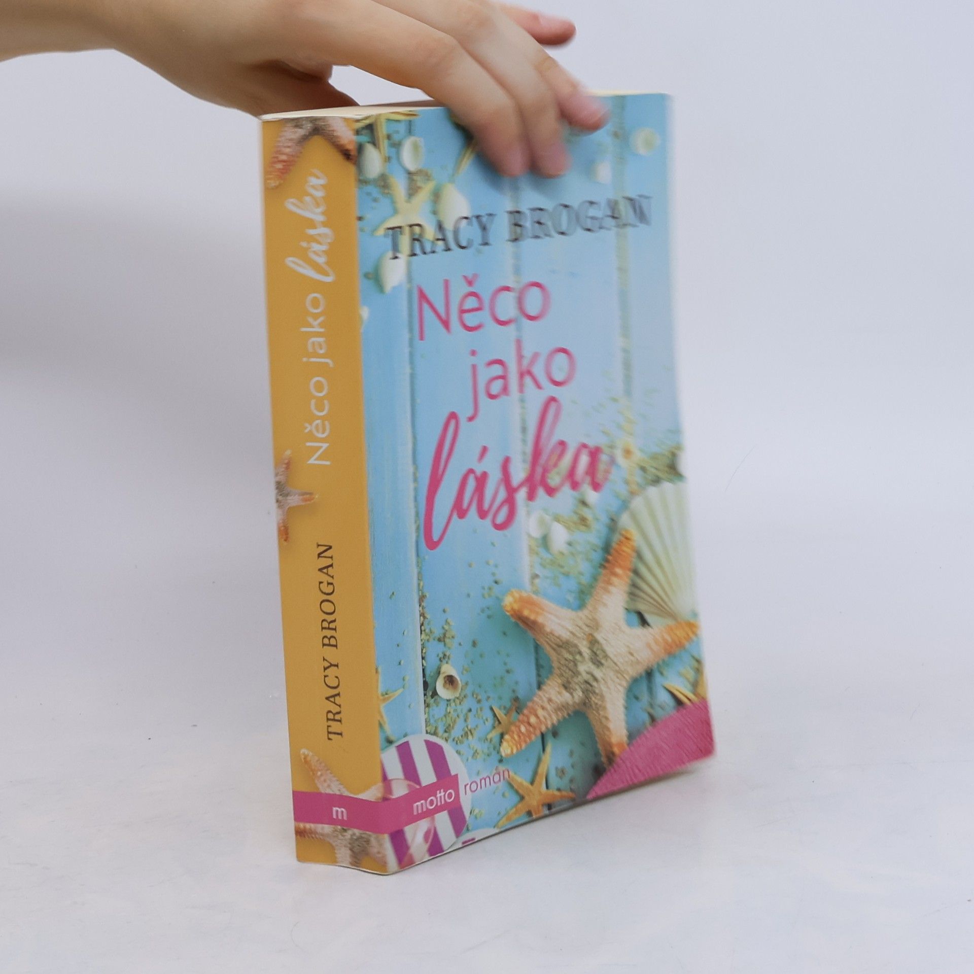 Tracy Brogan Něco jako láska