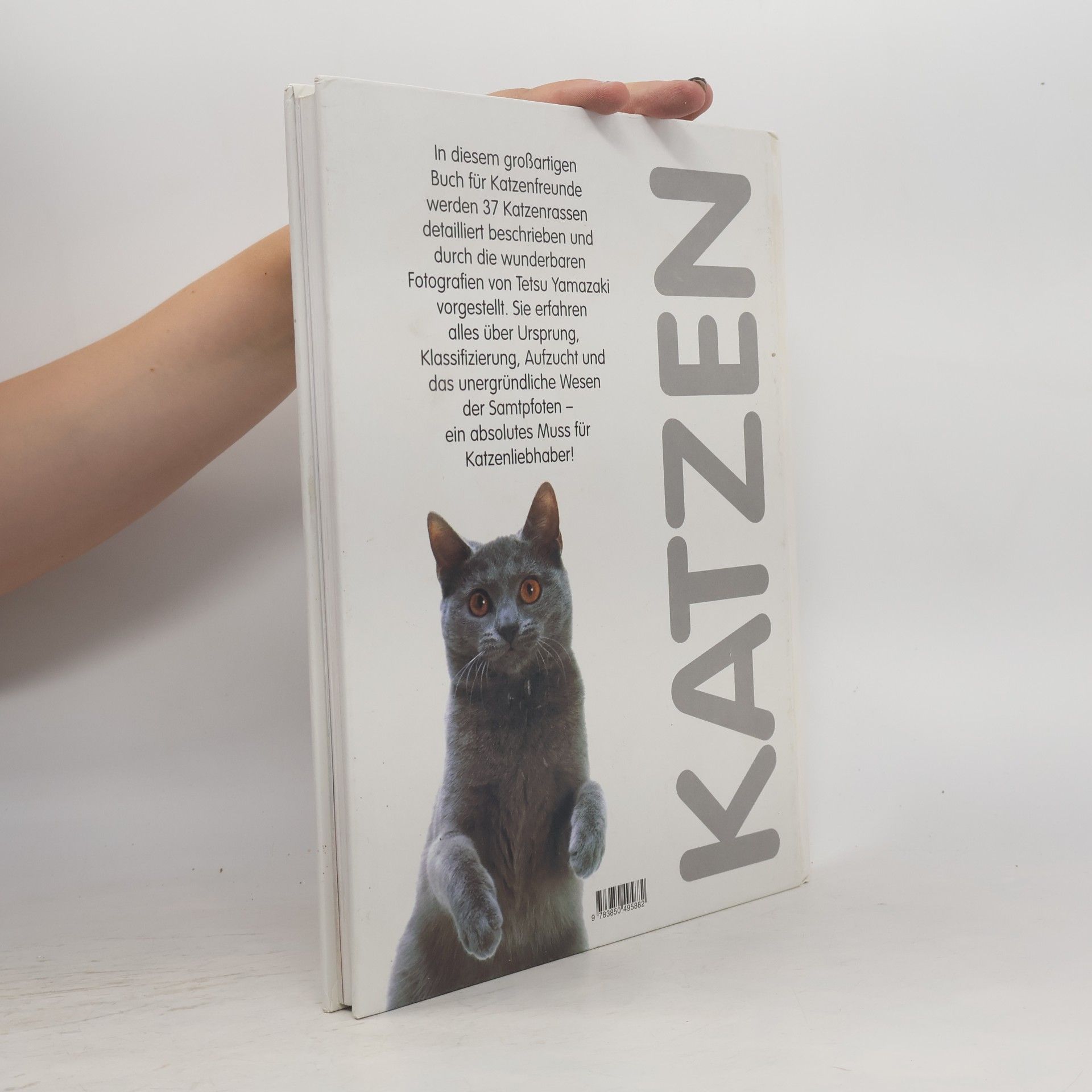 Gloria Stephens Katzen.