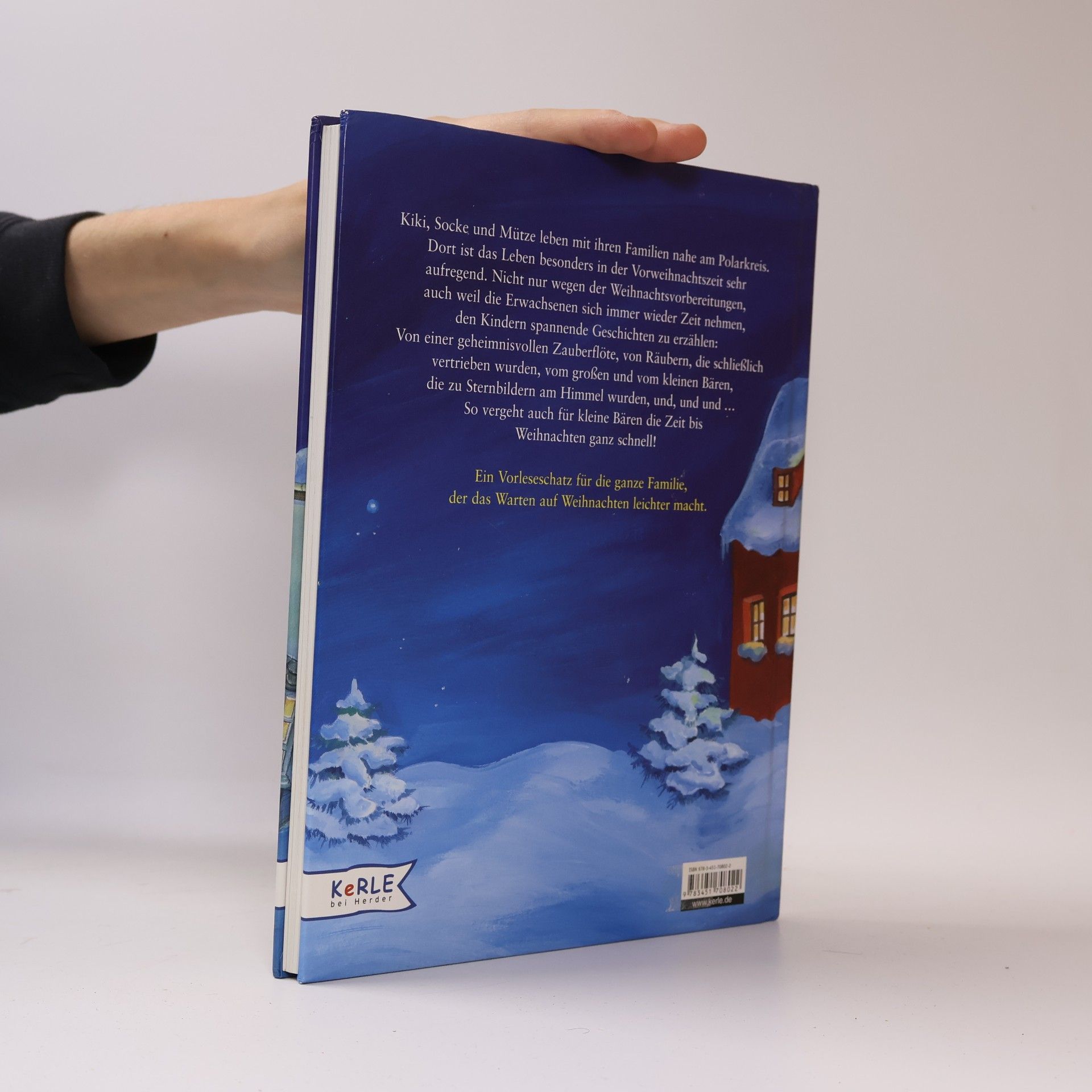 Ursula Kohlsaat-Scheffler Wenn die Weihnachtsbären nicht wären