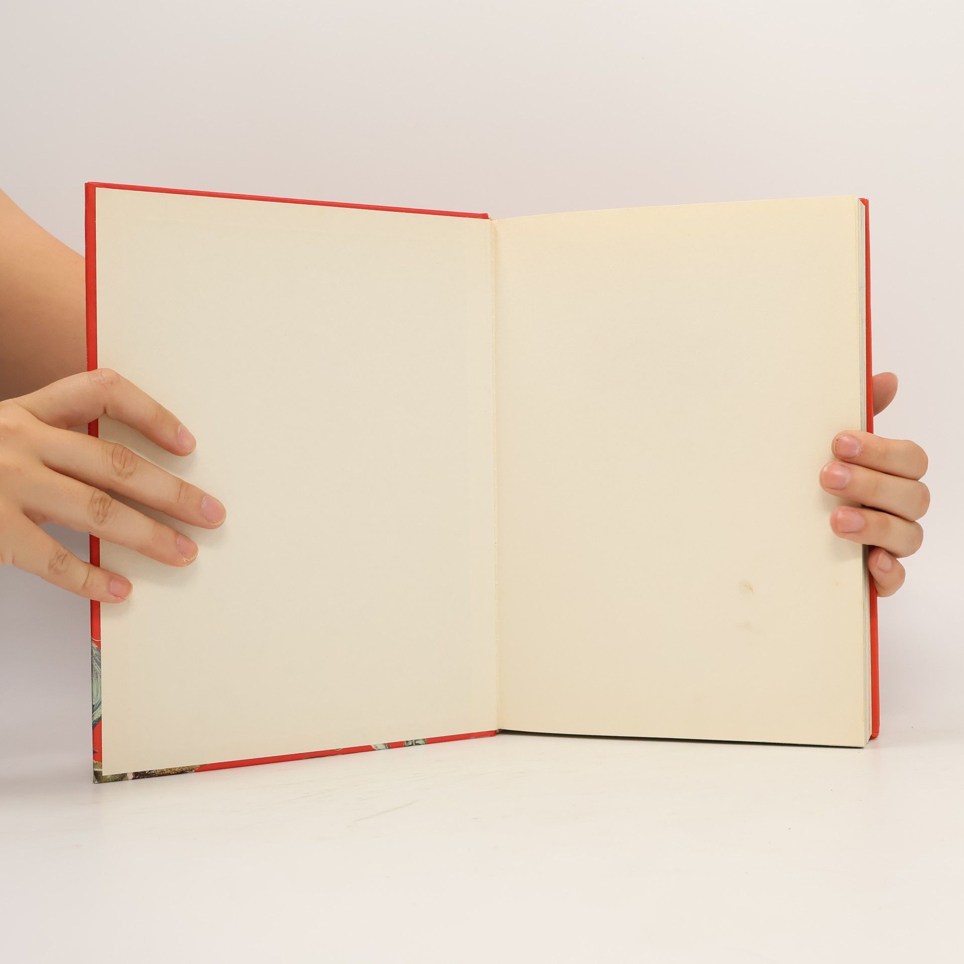 Wilhelm Grimm Mein großes Märchenbuch