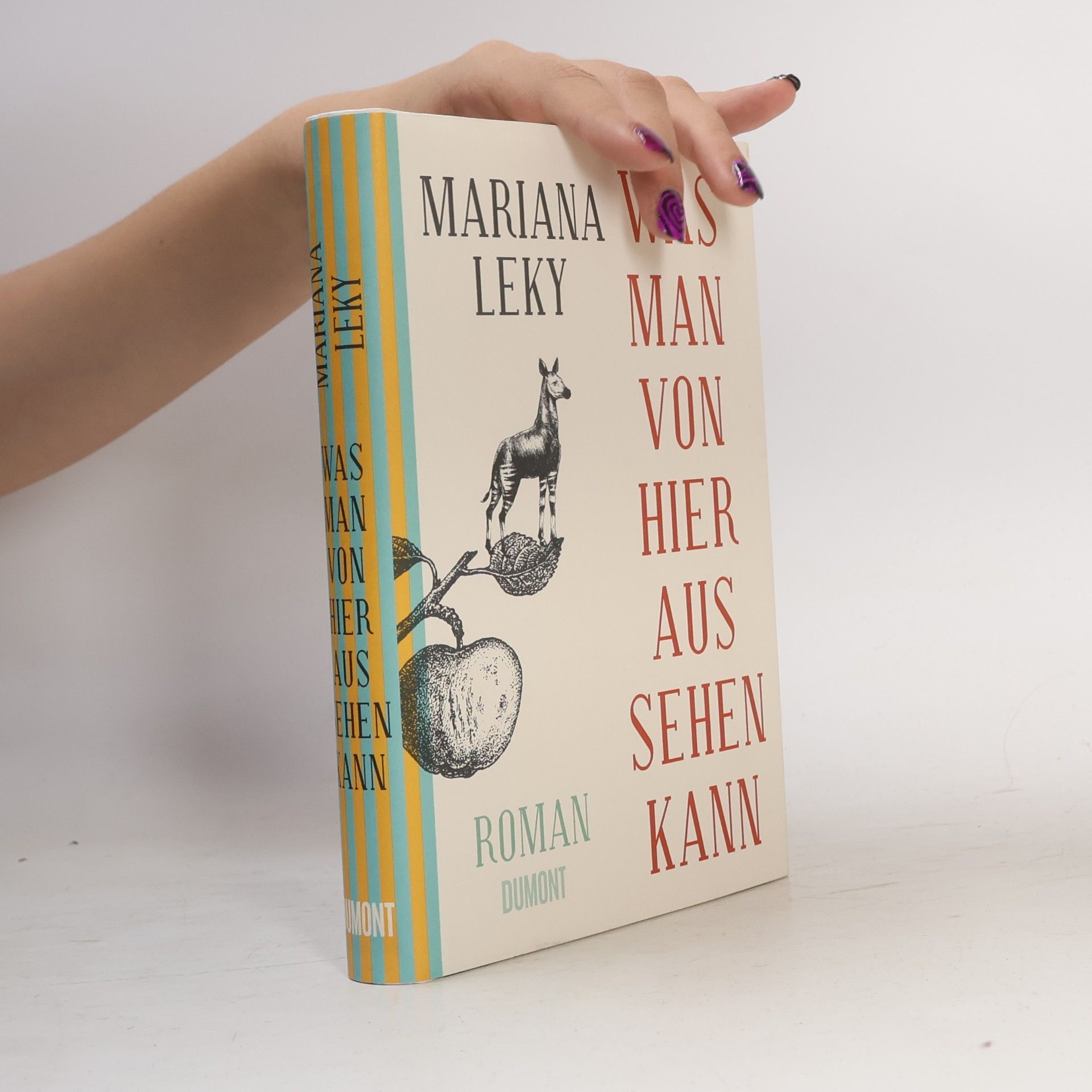 Mariana Leky Was man von hier aus sehen kann