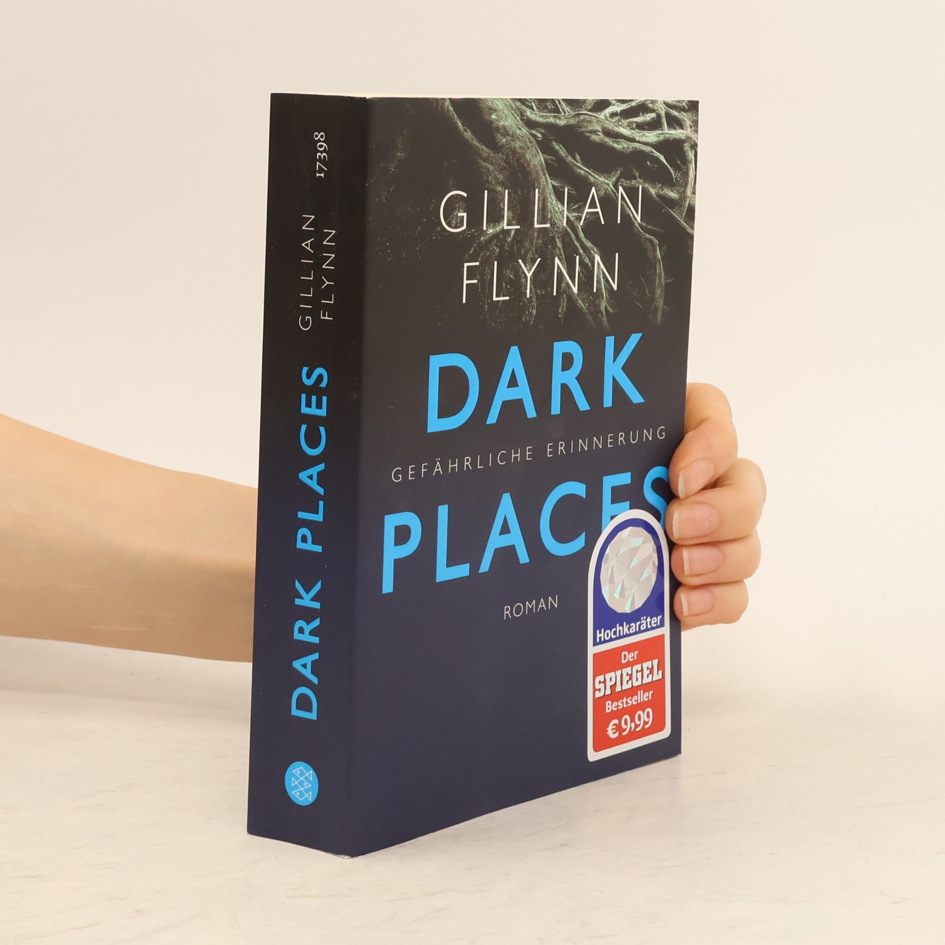 Gillian Flynn Dark Places - Gefährliche Erinnerung