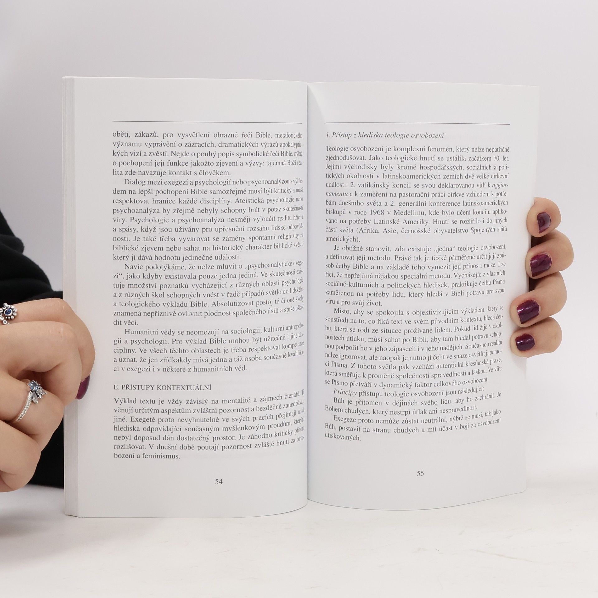 Papežská biblická komise Výklad Bible v církvi
